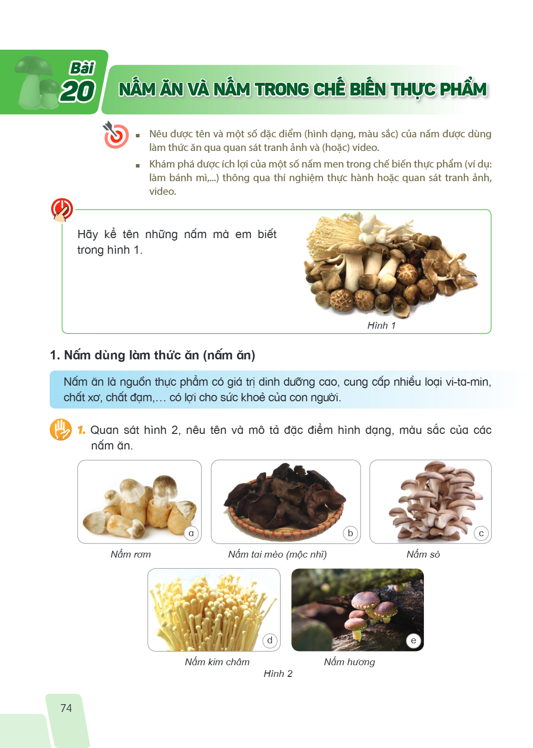 Bài 20. Nấm ăn và nấm trong chế biến thực phẩm Nêu được tên và một số đặc điểm (hình dạng, màu sắc) của nấm được dùng làm thức ăn qua quan sát tranh ảnh và (hoặ