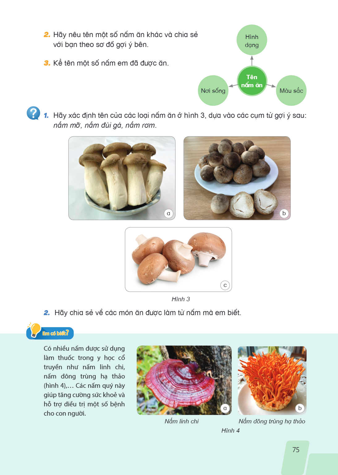 Hãy nêu tên một số nấm ăn khác và chia sẻ Hình với bạn theo sơ đồ gợi ý bên. dạng Kể tên một số nấm em đã được ăn. Tên nấm ăn Nơi sống Màu sắc Hãy xác định tên 