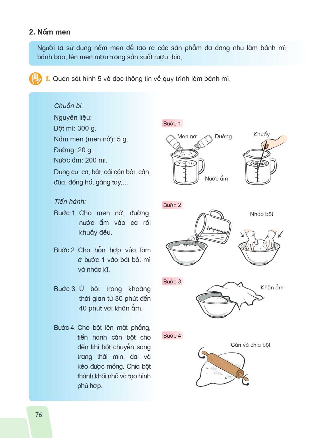 2. Nấm men Người ta sử dụng nấm men để tạo ra các sản phẩm đa dạng như làm bánh mì, bánh bao, lên men rượu trong sản xuất rượu, bia,... 1. Quan sát hình 5 và đọ