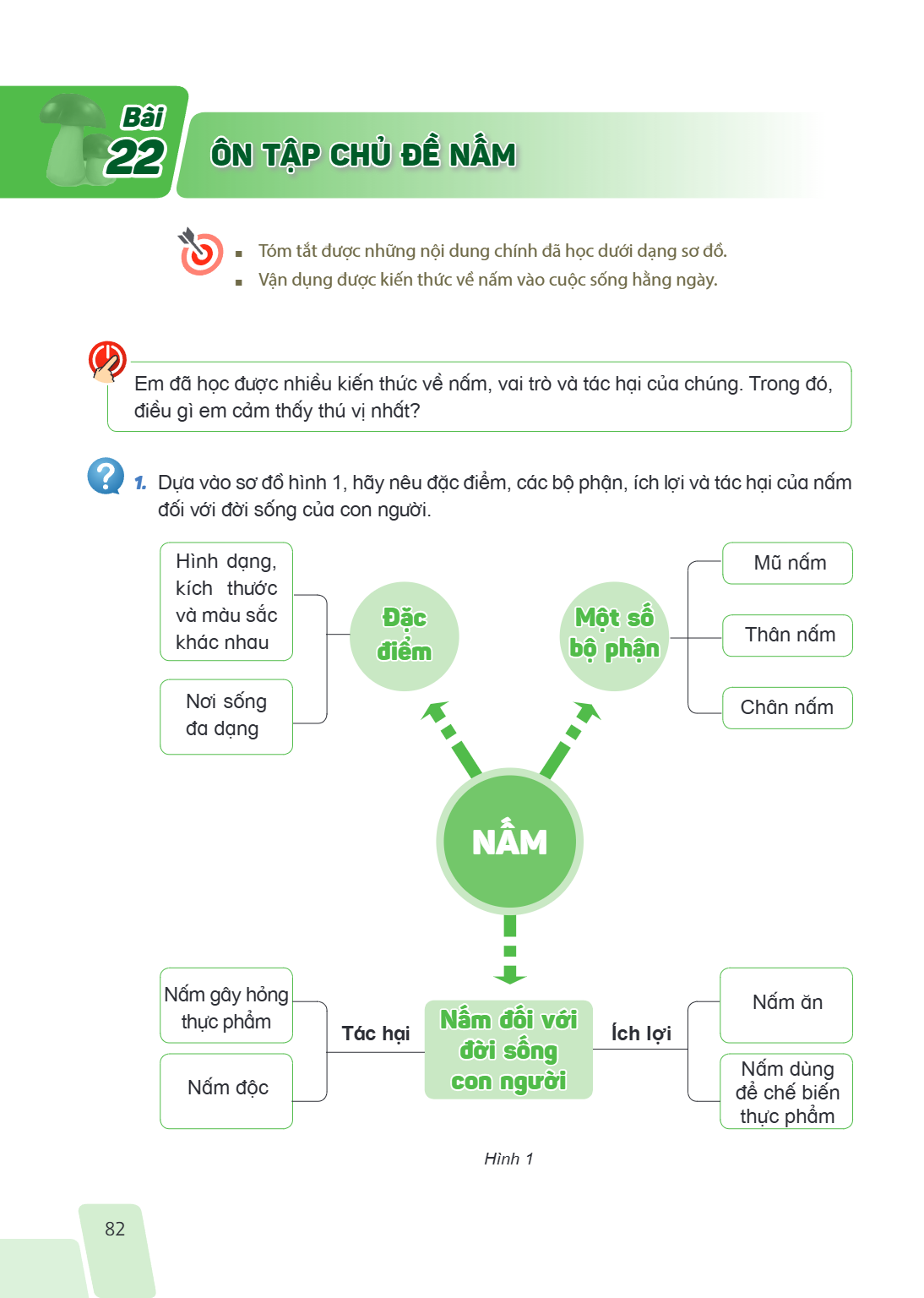 Ôn tập chủ đề Nấm Tóm tắt được những nội dung chính đã học dưới dạng sơ đồ. Vận dụng được kiến thức về nấm vào cuộc sống hằng ngày. Em đã học được nhiều kiến th
