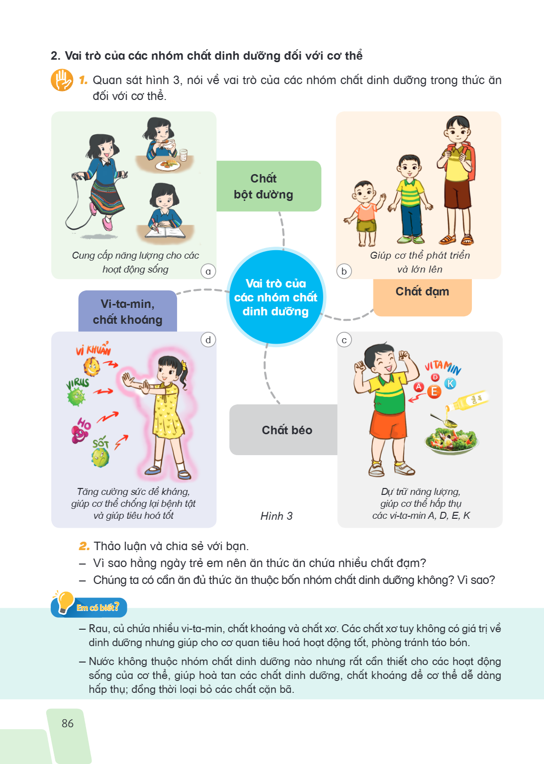 2. Vai trò của các nhóm chất dinh dưỡng đối với cơ thể Quan sát hình 3, nói về vai trò của các nhóm chất dinh dưỡng trong thức ăn đối với cơ thể. Chất bột đường