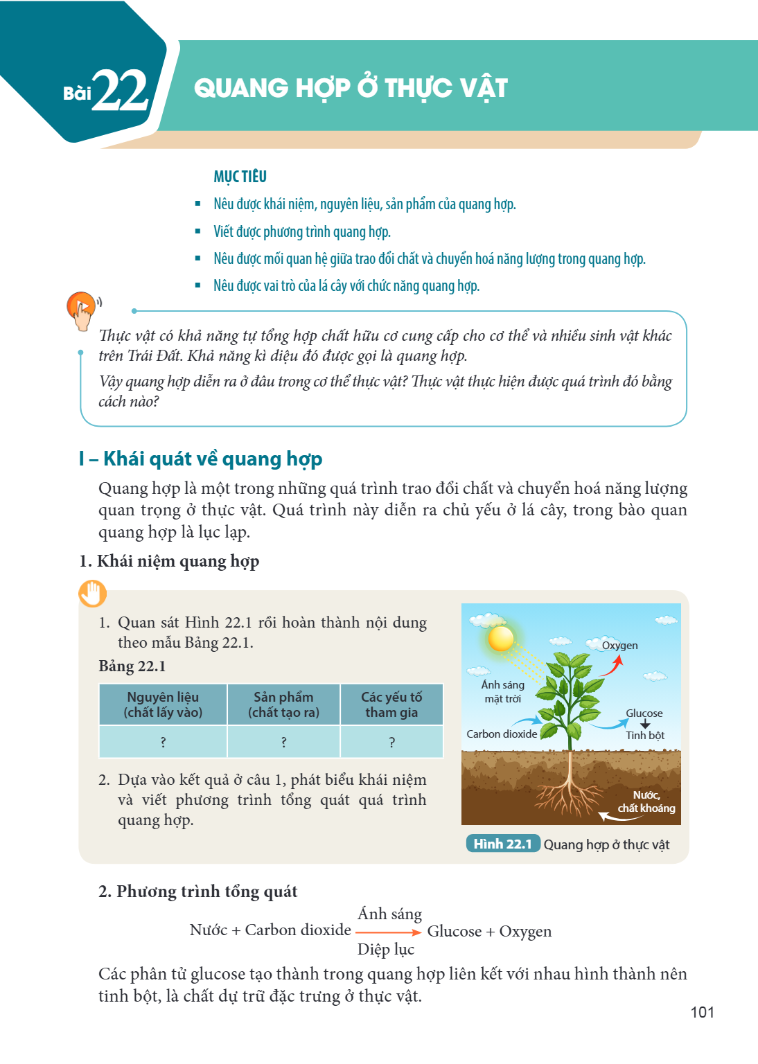 Bài 22. Quang hợp ở thực vật MỤC TIÊU: Nêu được khái niệm, nguyên liệu, sản phẩm của quang hợp. Viết được phương trình quang hợp. Nêu được mối quan hệ giữa trao