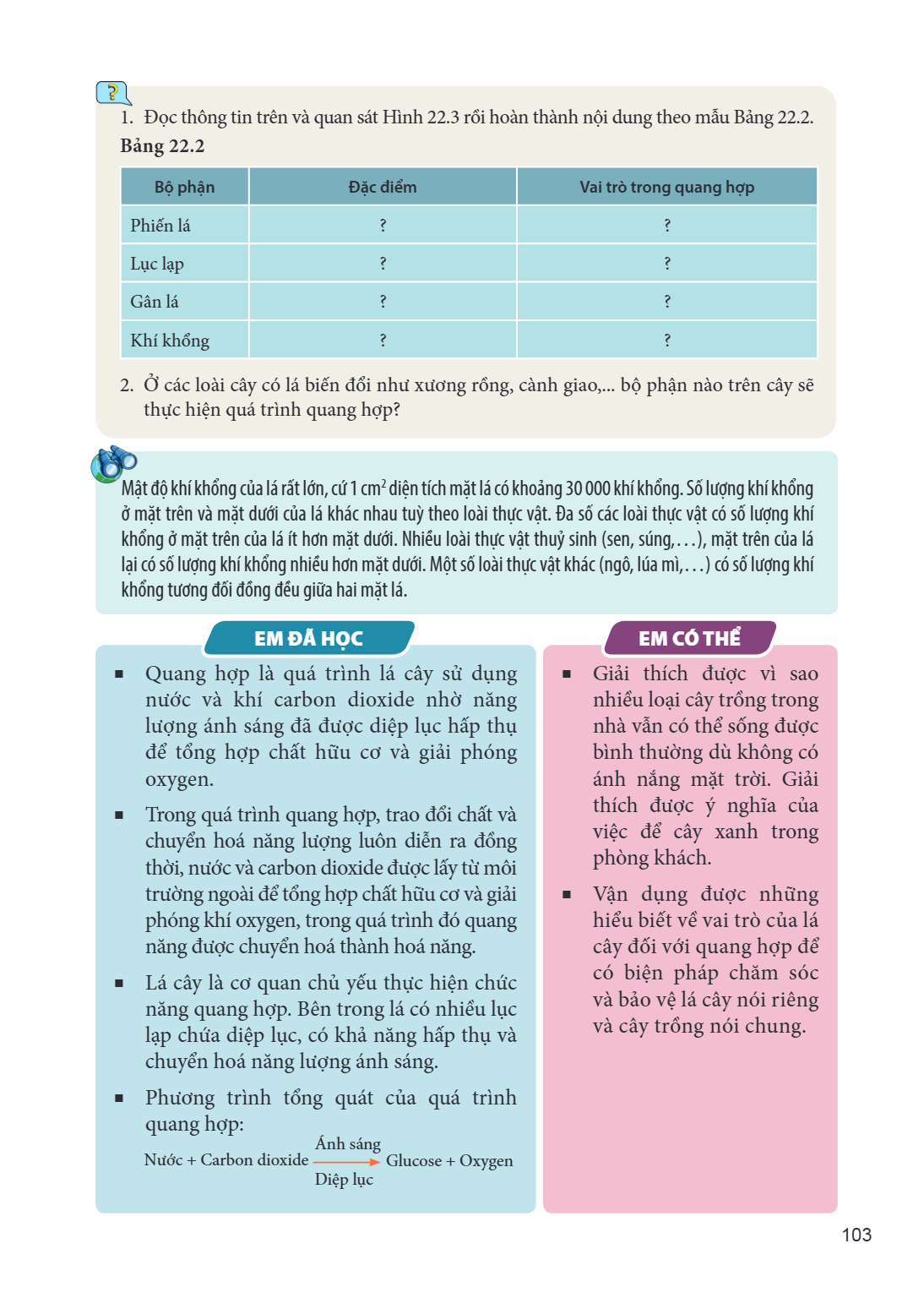 Đọc thông tin trên và quan sát Hình 22.3 rồi hoàn thành nội dung theo mẫu Bảng 22.2. Bảng 22.2 Bộ phận, Đặc điểm, Vai trò trong quang hợp Phiến lá, ?, ? Lục lạp