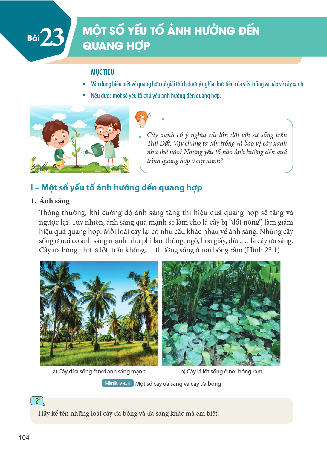 Bài 23. Một số yếu tố ảnh hưởng đến quang hợp MỤC TIÊU: Vận dụng hiểu biết về quang hợp để giải thích được ý nghĩa thực tiễn của việc trồng và bảo vệ cây xanh. 