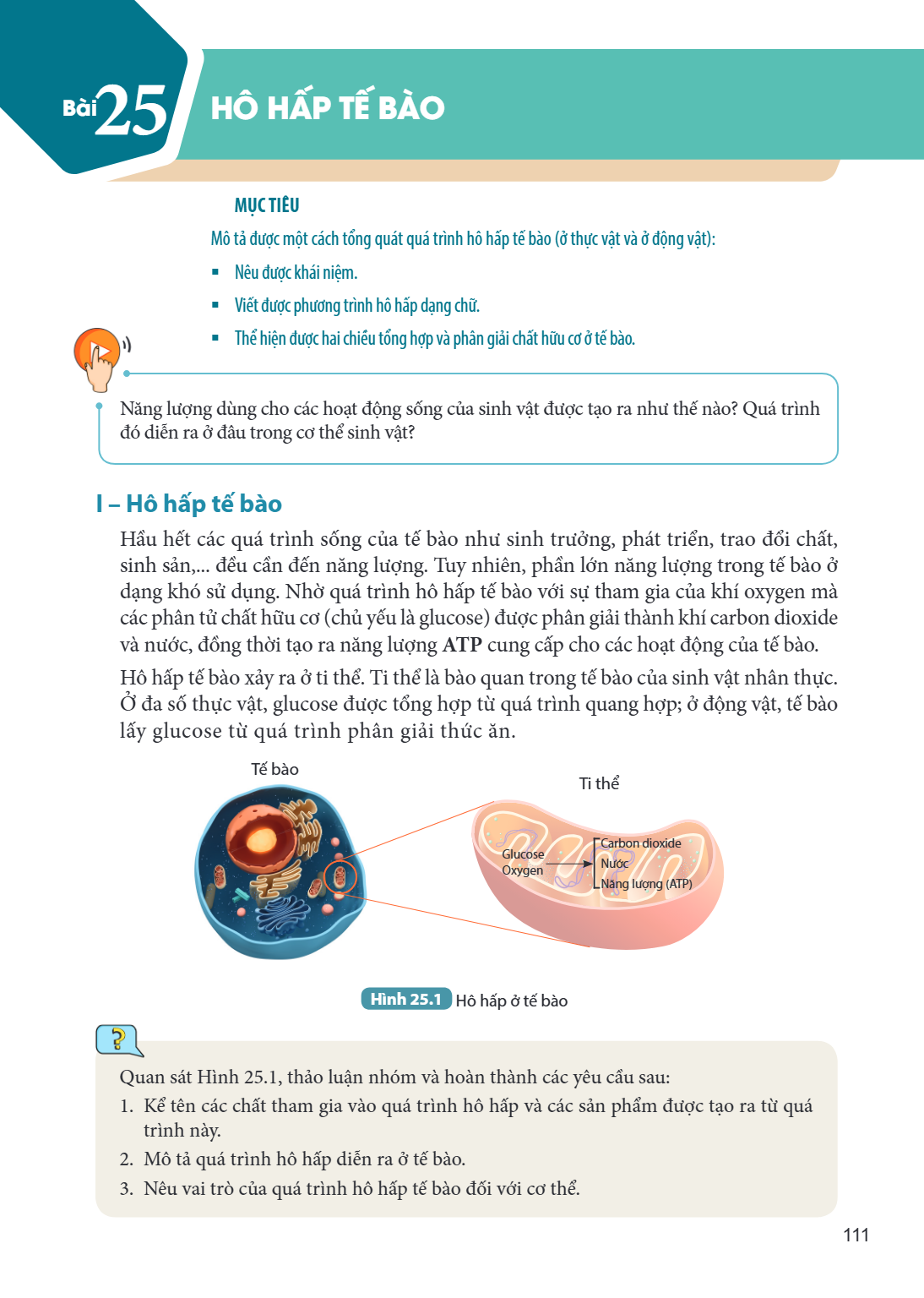 Bài 25. Hô hấp tế bào MỤC TIÊU: Mô tả được một cách tổng quát quá trình hô hấp tế bào (ở thực vật và ở động vật): Nêu được khái niệm. Viết được phương trình hô 
