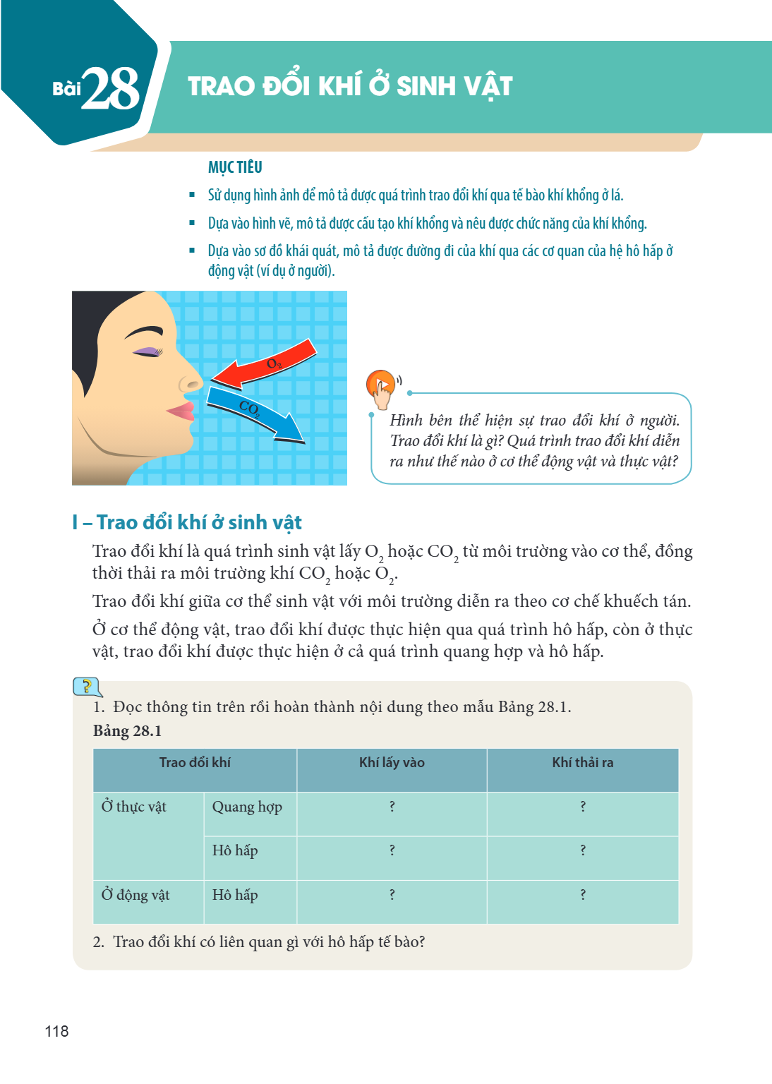 Bài 28. Trao đổi khí ở sinh vật MỤC TIÊU: Sử dụng hình ảnh để mô tả được quá trình trao đổi khí qua tế bào khí khổng ở lá. Dựa vào hình vẽ, mô tả được cấu tạo k