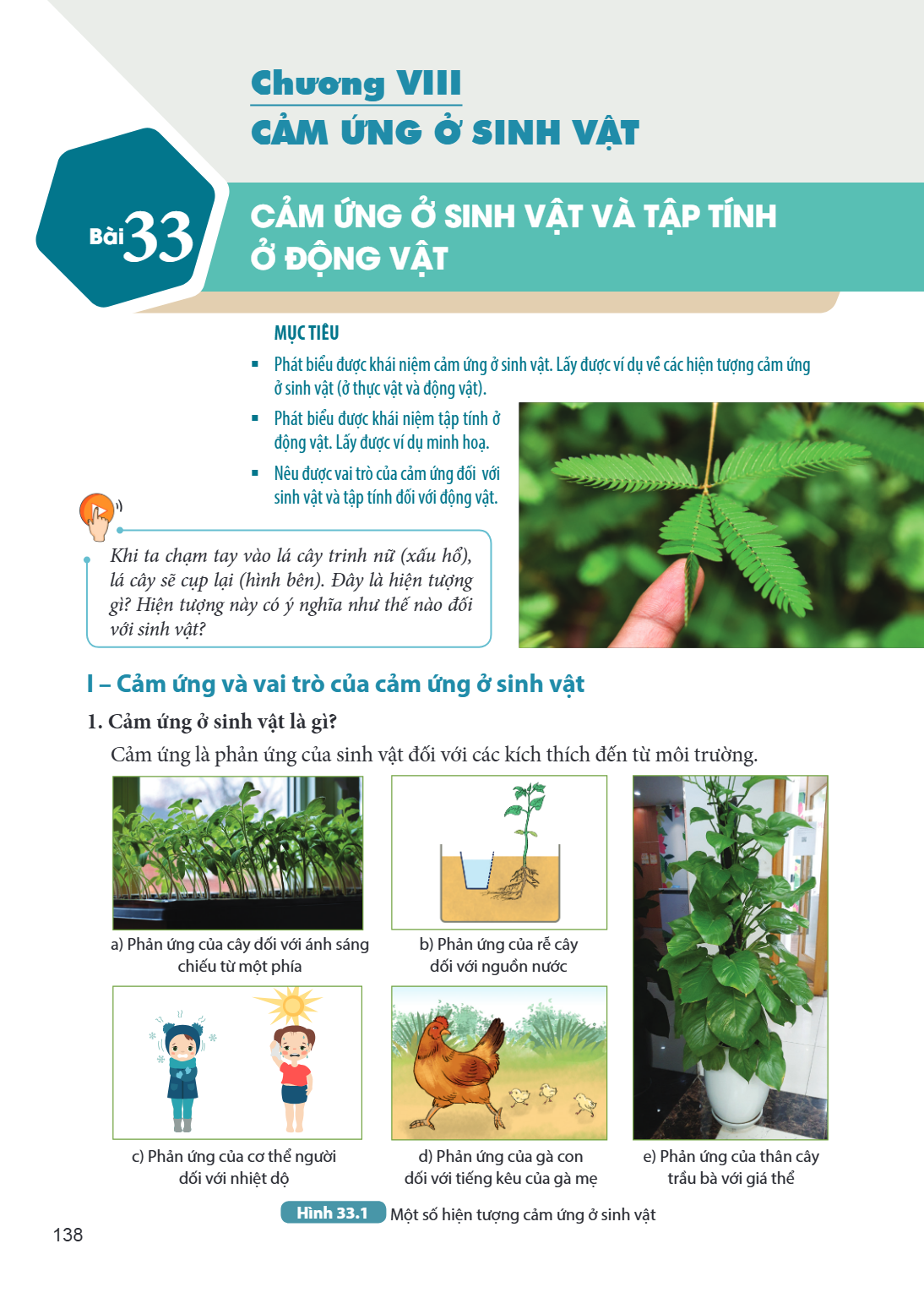 Chương VIII CẢM ỨNG Ở SINH VẬT Bài 33. Cảm ứng ở sinh vật và tập tính ở động vật MỞ ĐẦU MỤC TIÊU: Phát biểu được khái niệm cảm ứng ở sinh vật. Lấy được ví dụ về
