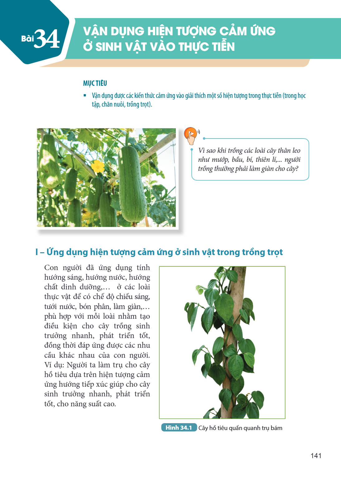 Bài 34. Vận dụng hiện tượng cảm ứng ở sinh vật vào thực tiễn MỤC TIÊU: Vận dụng được các kiến thức cảm ứng vào giải thích một số hiện tượng trong thực tiễn (tro
