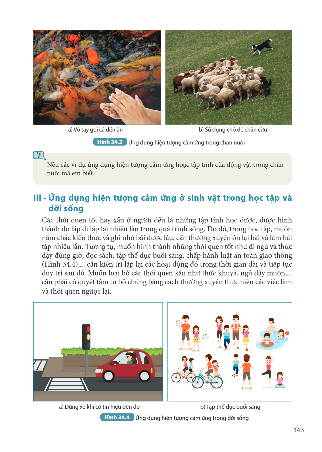 a) Vỗ tay gọi cá đến ăn* b) Sử dụng chó để chăn cừu* Hình 34.3 Ứng dụng hiện tượng cảm ứng trong chăn nuôi Nêu các ví dụ ứng dụng hiện tượng cảm ứng hoặc tập tí