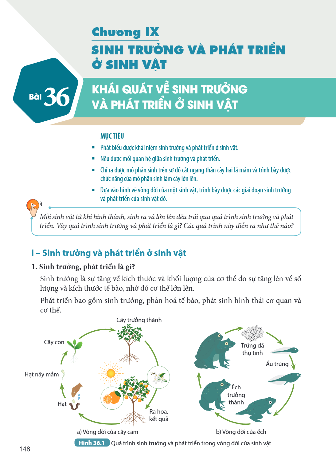 Bài 36. Khái quát về sinh trưởng và phát triển ở sinh vật I – Sinh trưởng và phát triển ở sinh vật MỤC TIÊU: Phát biểu được khái niệm sinh trưởng và phát triển 