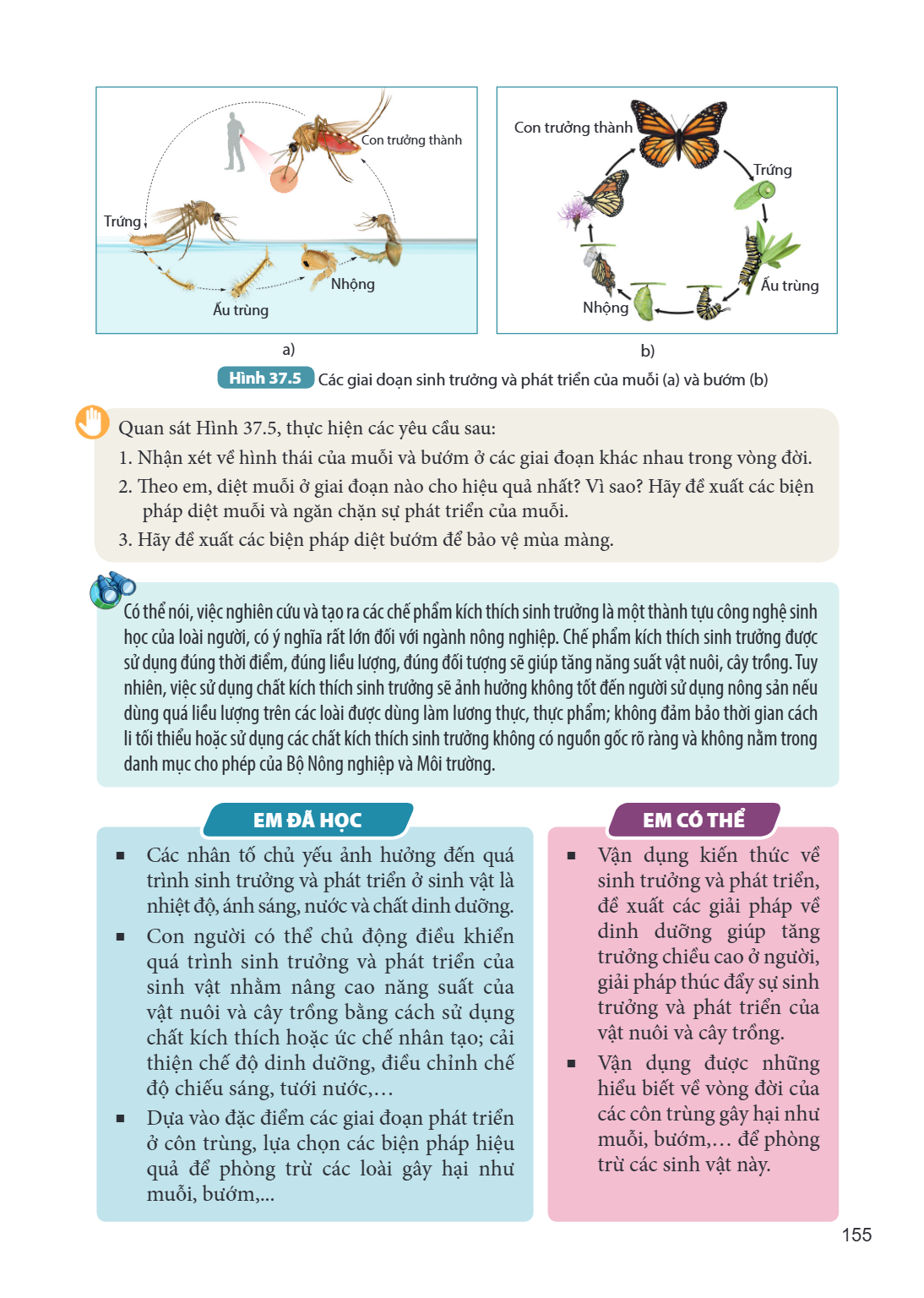 Hình 37.5 Các giai đoạn sinh trưởng và phát triển của muỗi (a) và bướm (b) Quan sát Hình 37.5, thực hiện các yêu cầu sau: Nhận xét về hình thái của muỗi và bướm