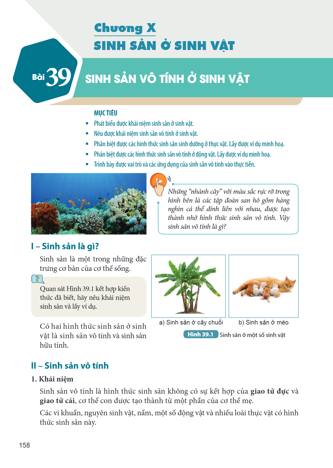 Chương X Bài 39. Sinh sản vô tính ở sinh vật MỤC TIÊU: Phát biểu được khái niệm sinh sản ở sinh vật. Nêu được khái niệm sinh sản vô tính ở sinh vật. Phân biệt đ
