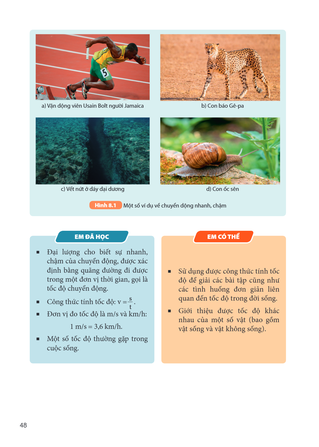 a) Vận động viên Usain Bolt người Jamaica b) Con báo Gê-pa c) Vết nứt ở đáy đại dương d) Con ốc sên Hình 8.1 Một số ví dụ về chuyển động nhanh, chậm EM ĐÃ HỌC Đ