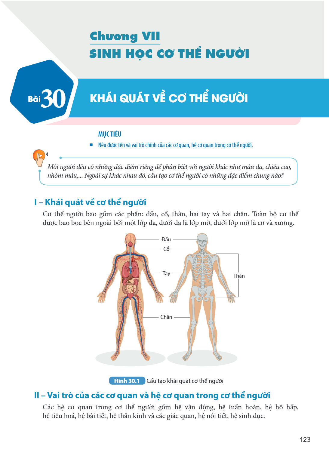 Chương VII SINH HỌC CƠ THỂ NGƯỜI Bài 30. Khái quát về cơ thể người MỤC TIÊU Nêu được tên và vai trò chính của các cơ quan, hệ cơ quan trong cơ thể người. Hình 3