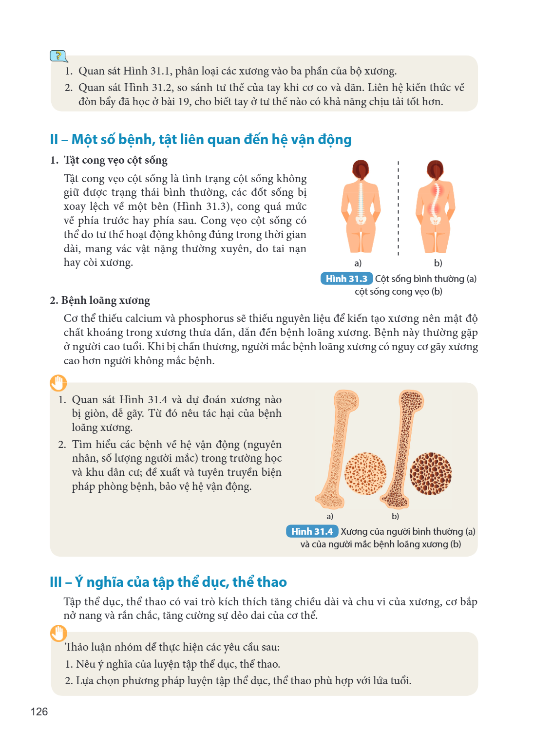 Quan sát Hình 31.1, phân loại các xương vào ba phần của bộ xương. Quan sát Hình 31.2, so sánh tư thế của tay khi cơ co và giãn. Liên hệ kiến thức về đòn bẩy đã 