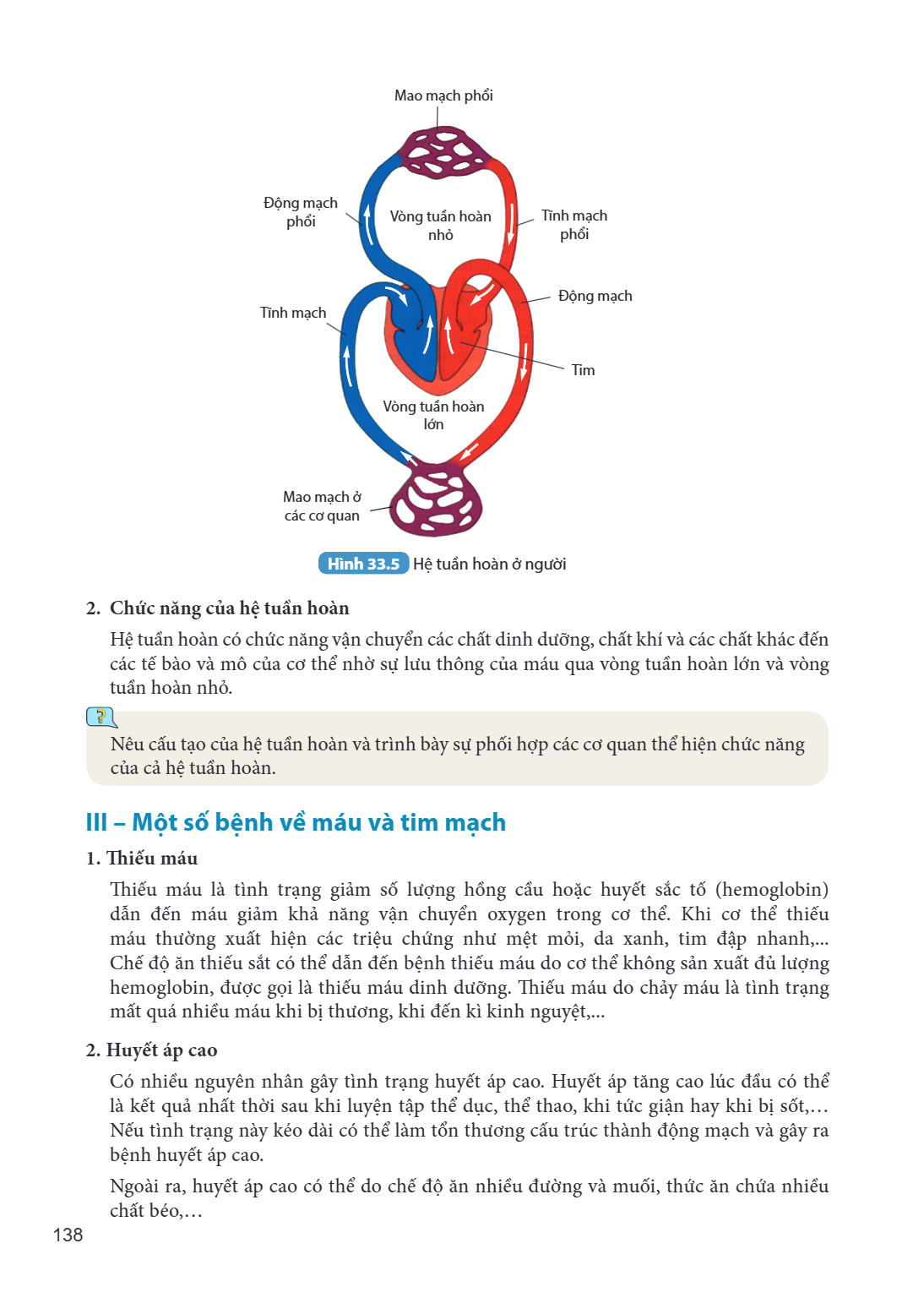 Mao mạch phổi Động mạch phổi Vòng tuần hoàn nhỏ Tĩnh mạch phổi Tĩnh mạch Động mạch Tim Vòng tuần hoàn lớn Mao mạch ở các cơ quan Hình 33.5 Hệ tuần hoàn ở người 