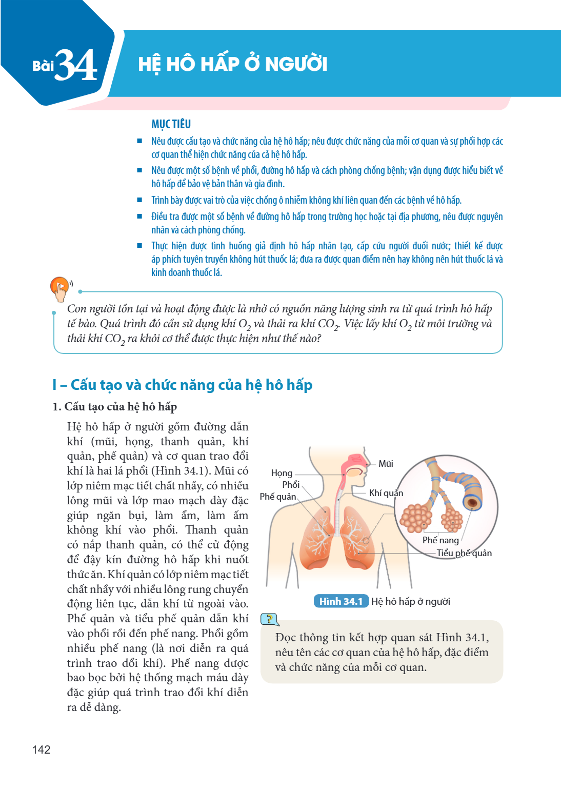 Bài 34. Hệ hô hấp ở người MỤC TIÊU Nêu được cấu tạo và chức năng của hệ hô hấp; nêu được chức năng của mỗi cơ quan và sự phối hợp các cơ quan thể hiện chức năng
