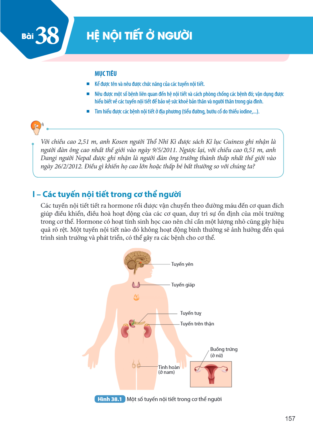 Bài 38. Hệ nội tiết ở người MỤC TIÊU: Kể được tên và nêu được chức năng của các tuyến nội tiết. Nêu được một số bệnh liên quan đến hệ nội tiết và cách phòng chố