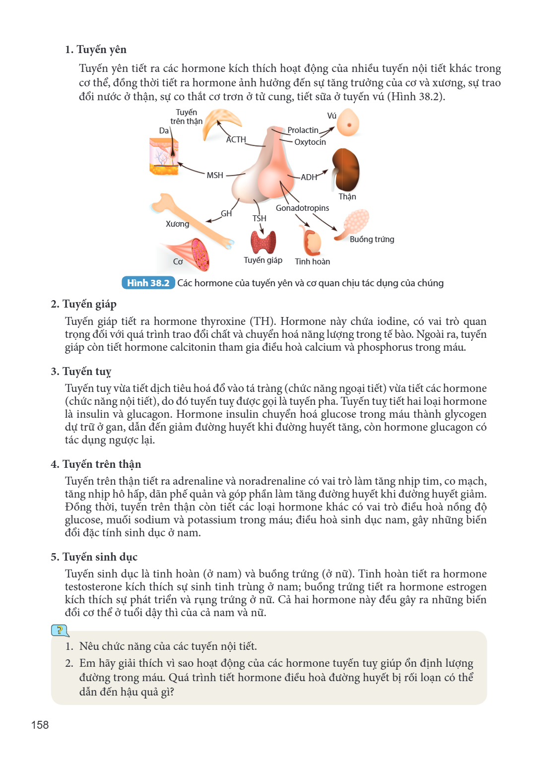 1. Tuyến yên Tuyến yên tiết ra các hormone kích thích hoạt động của nhiều tuyến nội tiết khác trong cơ thể, đồng thời tiết ra hormone ảnh hưởng đến sự tăng trưở