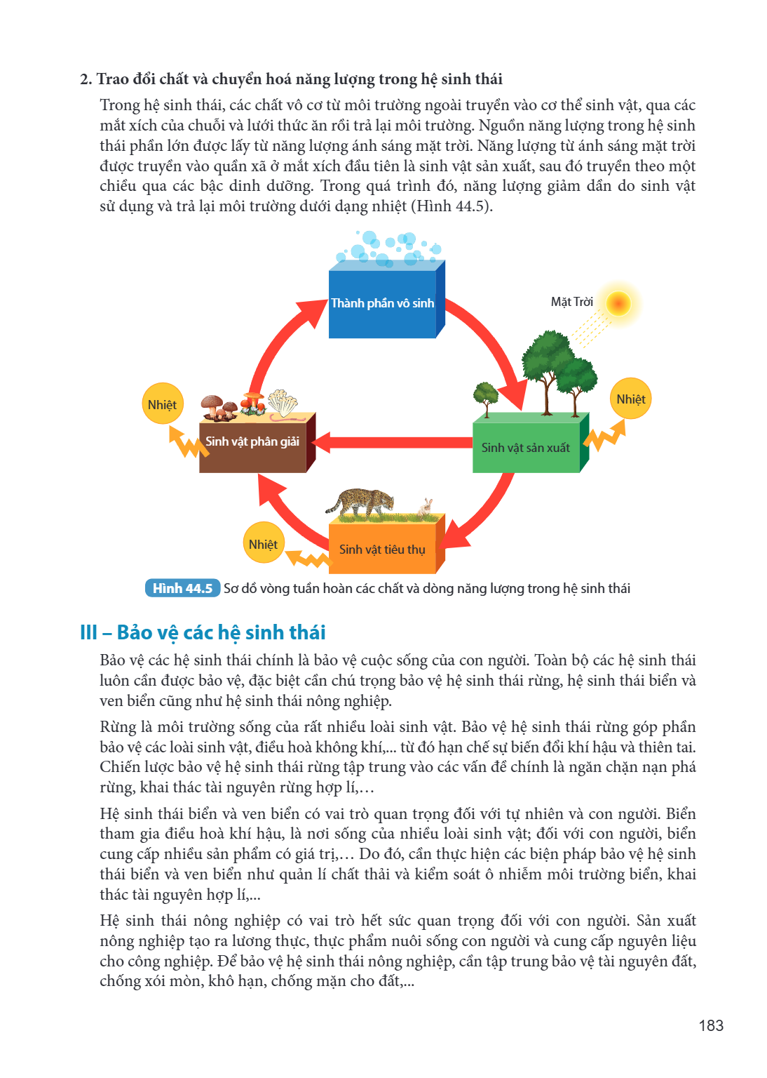 2. Trao đổi chất và chuyển hoá năng lượng trong hệ sinh thái Trong hệ sinh thái, các chất vô cơ từ môi trường ngoài truyền vào cơ thể sinh vật, qua các mắt xích