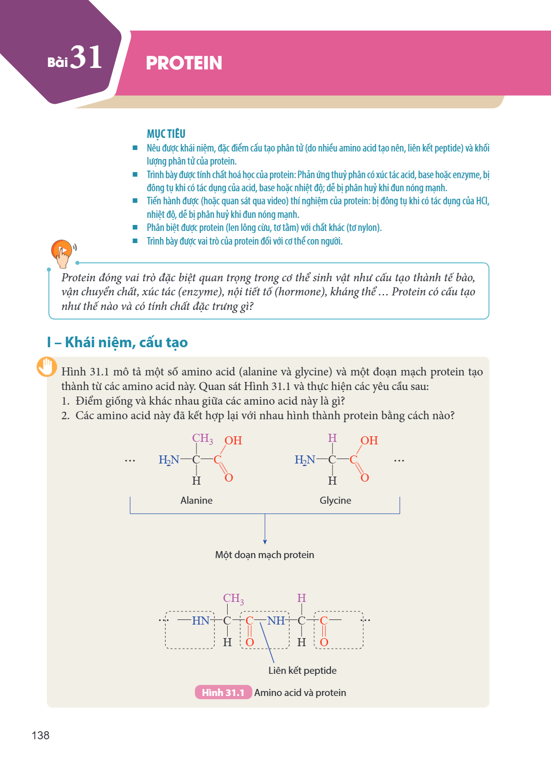 Bài 31. Protein MỤC TIÊU: Nêu được khái niệm, đặc điểm cấu tạo phân tử (do nhiều amino acid tạo nên, liên kết peptide) và khối lượng phân tử của protein. Trình 
