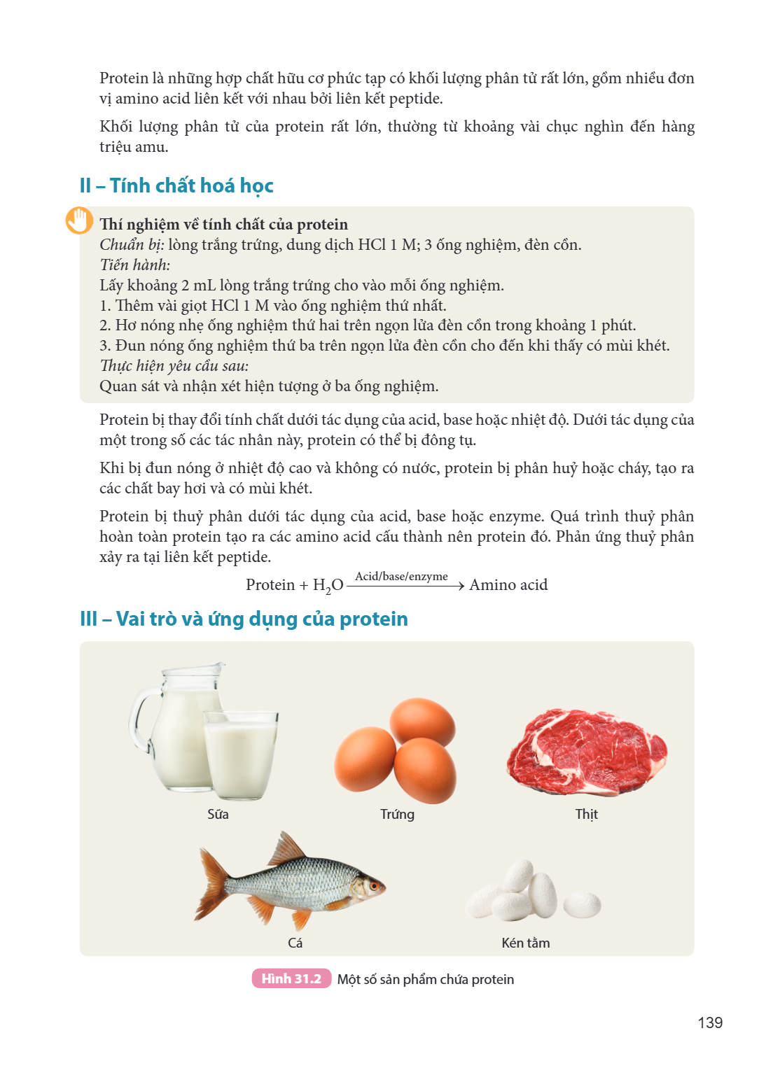 Protein là những hợp chất hữu cơ phức tạp có khối lượng phân tử rất lớn, gồm nhiều đơn vị amino acid liên kết với nhau bởi liên kết peptide. Khối lượng phân tử 