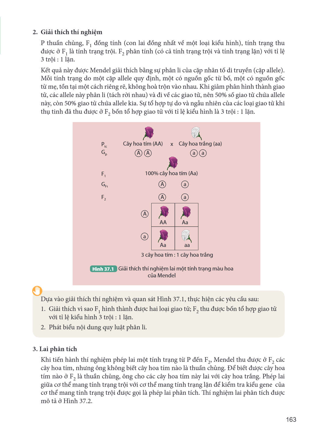 2. Giải thích thí nghiệm P thuần chủng, F$_1$ đồng tính (con lai đồng nhất về một loại kiểu hình), tính trạng thu được ở F$_1$ là tính trạng trội. F$_2$ phân tí