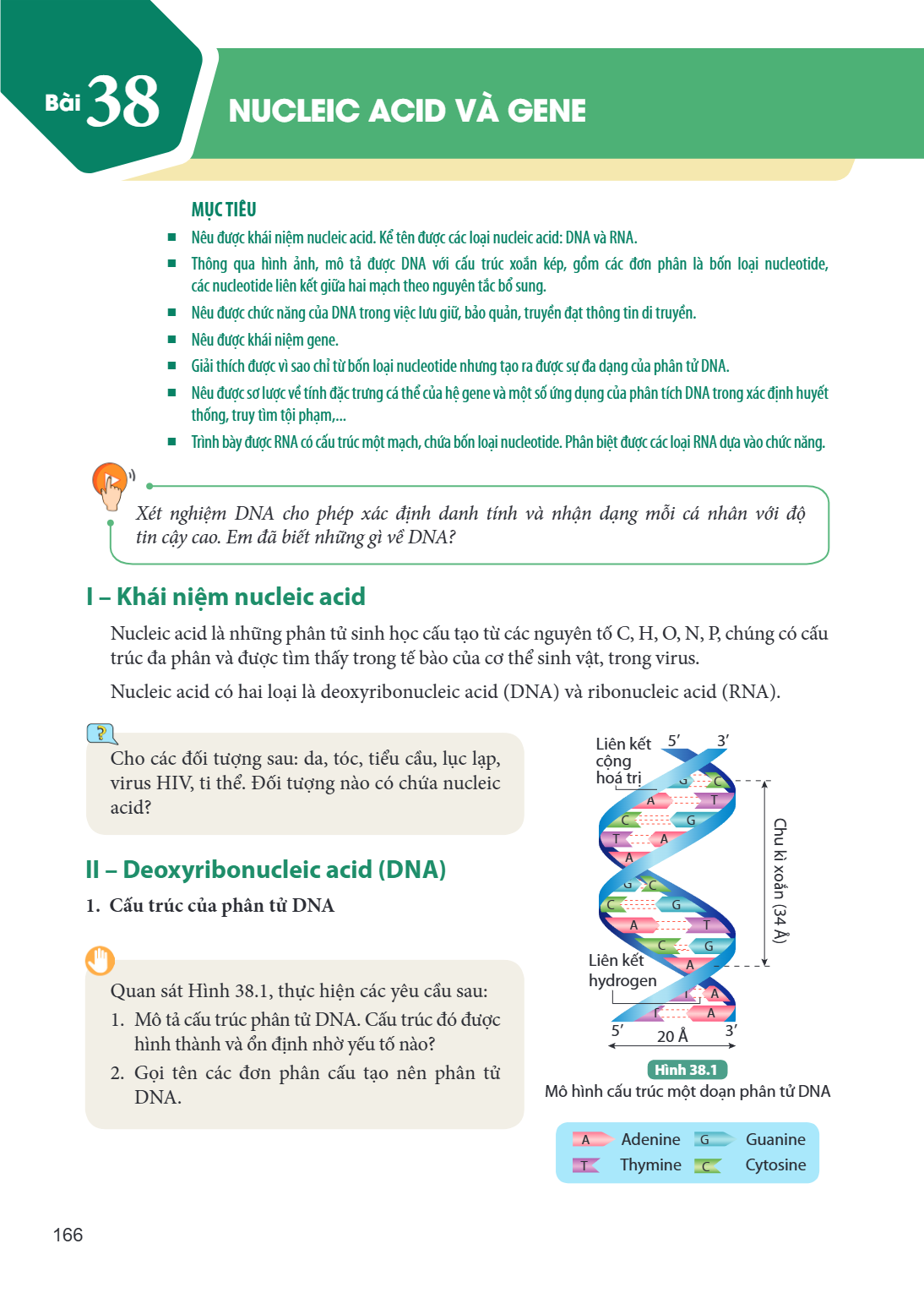 Bài 38. Nucleic acid và gene MỤC TIÊU Nêu được khái niệm nucleic acid. Kể tên được các loại nucleic acid: DNA và RNA. Thông qua hình ảnh, mô tả được DNA với cấu
