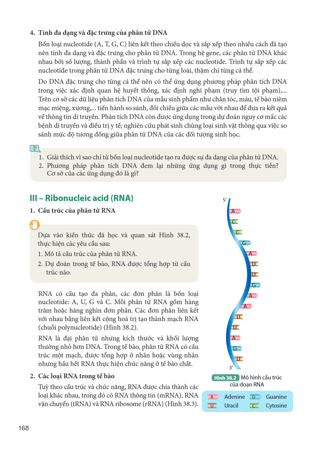 4. Tính đa dạng và đặc trưng của phân tử DNA Bốn loại nucleotide (A, T, G, C) liên kết theo chiều dọc và sắp xếp theo nhiều cách đã tạo nên tính đa dạng và đặc 