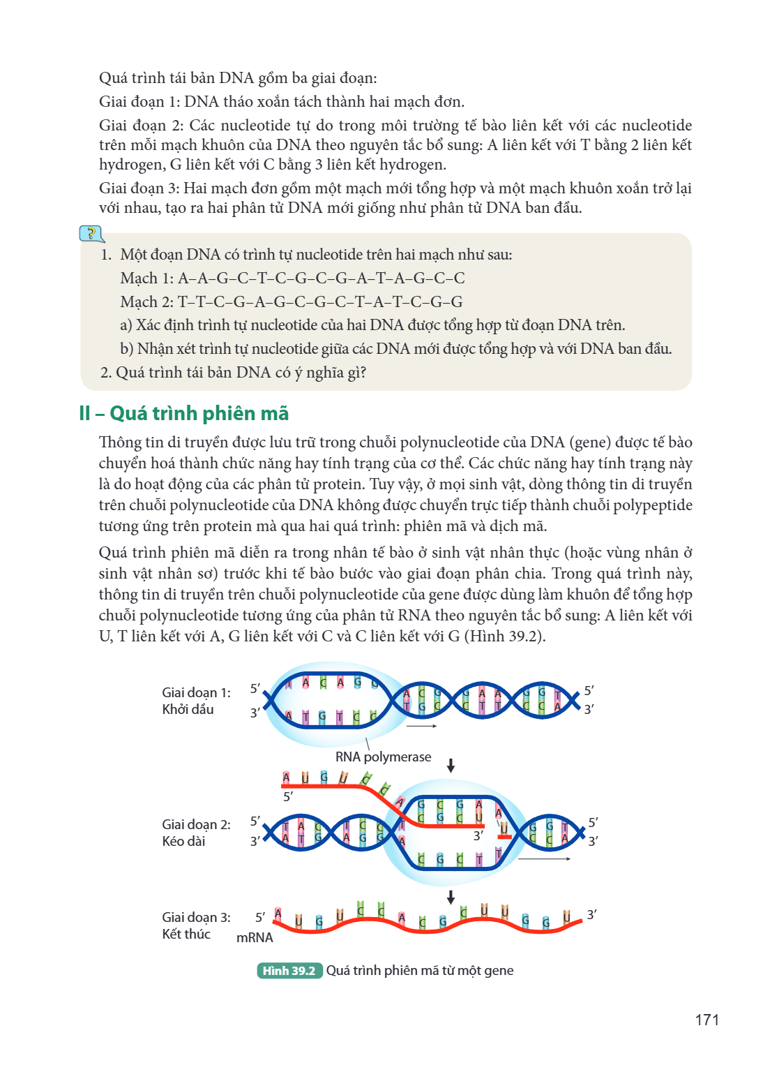 Quá trình tái bản DNA gồm ba giai đoạn: Giai đoạn 1: DNA tháo xoắn tách thành hai mạch đơn. Giai đoạn 2: Các nucleotide tự do trong môi trường tế bào liên kết v