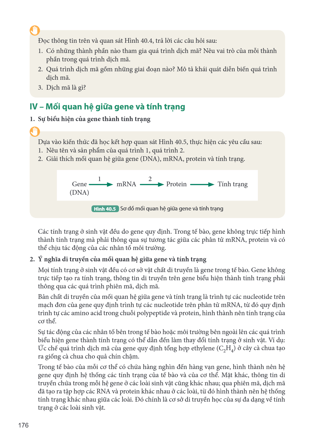 Đọc thông tin trên và quan sát Hình 40.4, trả lời các câu hỏi sau: Có những thành phần nào tham gia quá trình dịch mã? Nêu vai trò của mỗi thành phần trong quá 