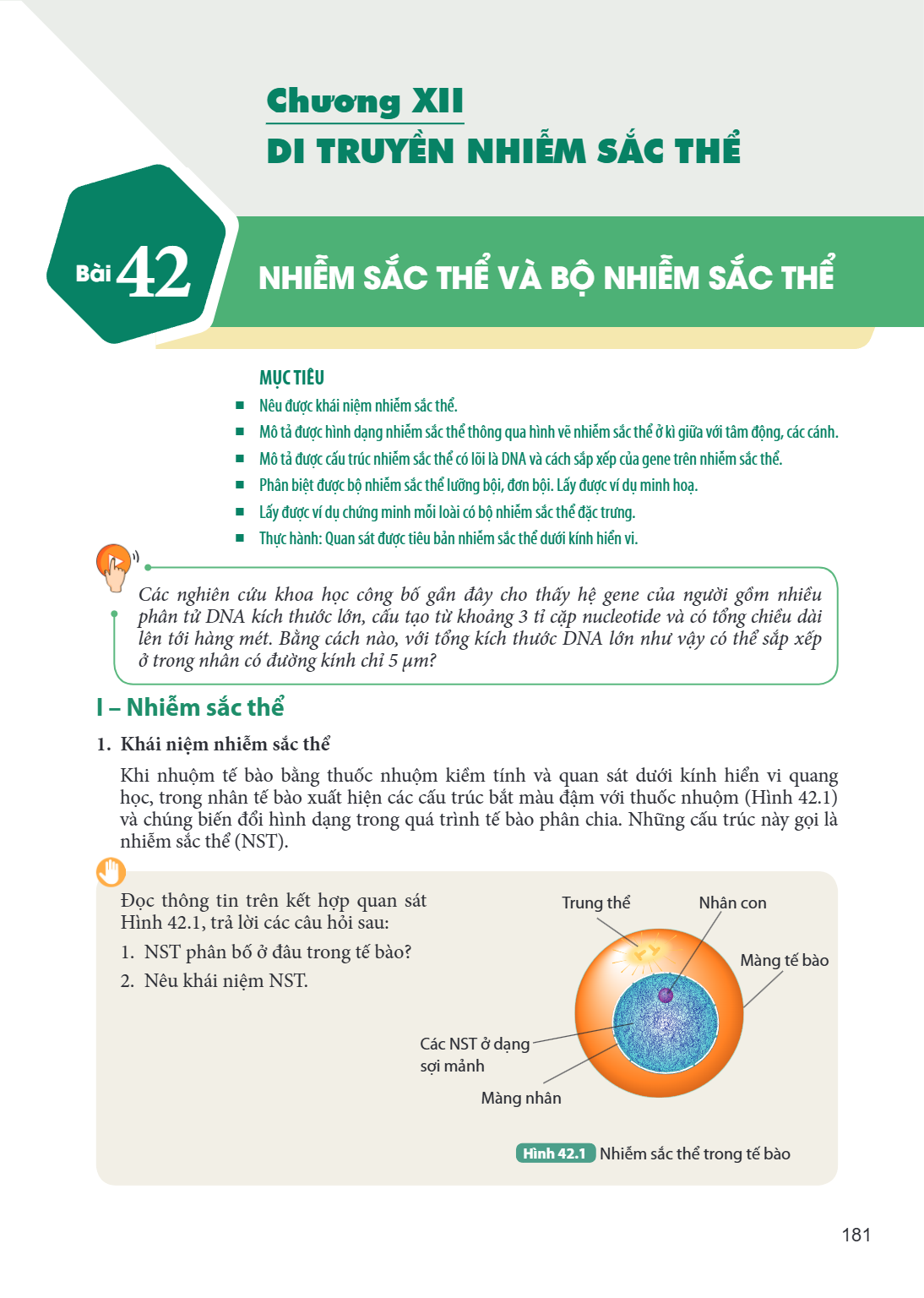 Chương XII DI TRUYỀN NHIỄM SẮC THỂ Bài 42. Nhiễm sắc thể và bộ nhiễm sắc thể MỤC TIÊU Nêu được khái niệm nhiễm sắc thể. Mô tả được hình dạng nhiễm sắc thể thông
