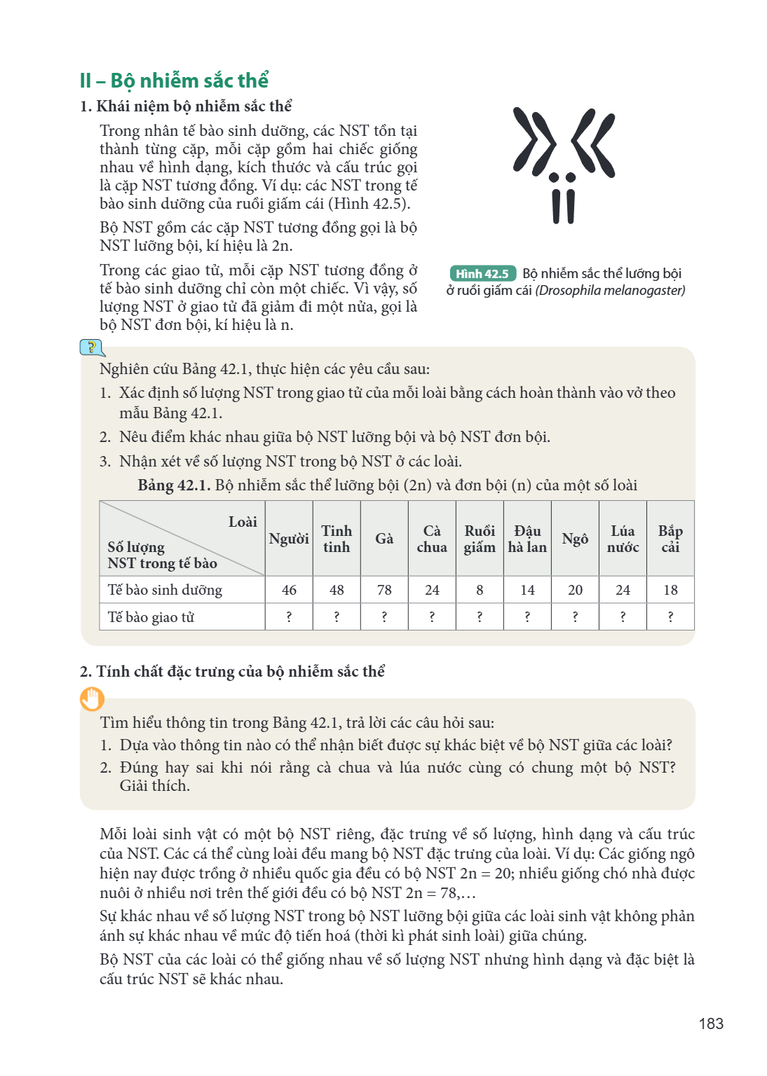 II – Bộ nhiễm sắc thể 1. Khái niệm bộ nhiễm sắc thể Trong nhân tế bào sinh dưỡng, các NST tồn tại thành từng cặp, mỗi cặp gồm hai chiếc giống nhau về hình dạng,