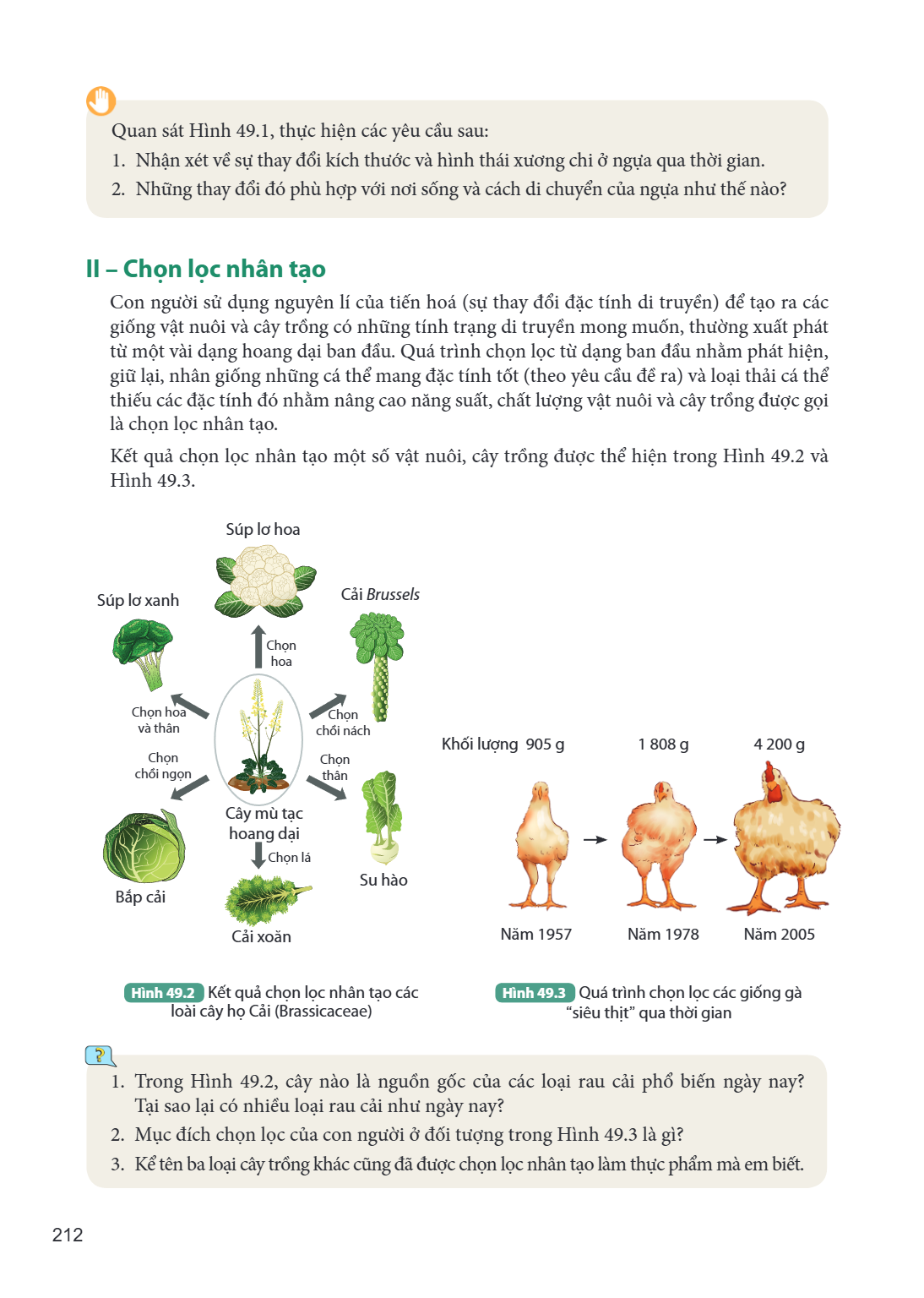 Quan sát Hình 49.1, thực hiện các yêu cầu sau: Nhận xét về sự thay đổi kích thước và hình thái xương chi ở ngựa qua thời gian. Những thay đổi đó phù hợp với nơi