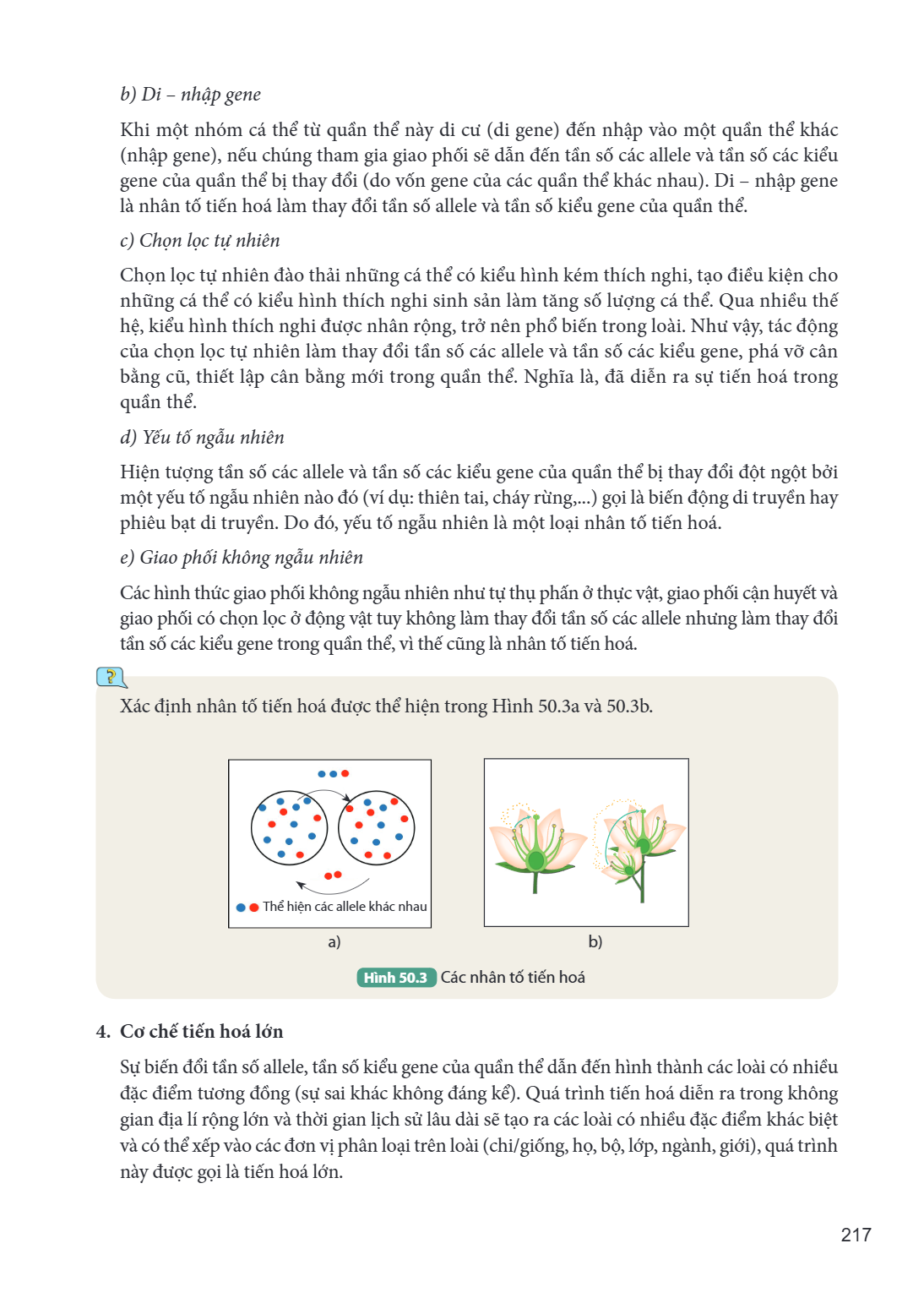 b) Di – nhập gene Khi một nhóm cá thể từ quần thể này di cư (di gene) đến nhập vào một quần thể khác (nhập gene), nếu chúng tham gia giao phối sẽ dẫn đến tần số