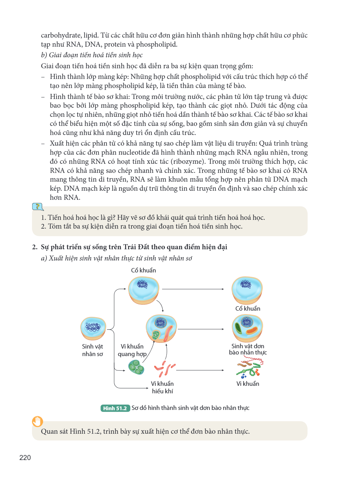 carbohydrate, lipid. Từ các chất hữu cơ đơn giản hình thành những hợp chất hữu cơ phức tạp như RNA, DNA, protein và phospholipid. b) Giai đoạn tiến hoá tiền sin