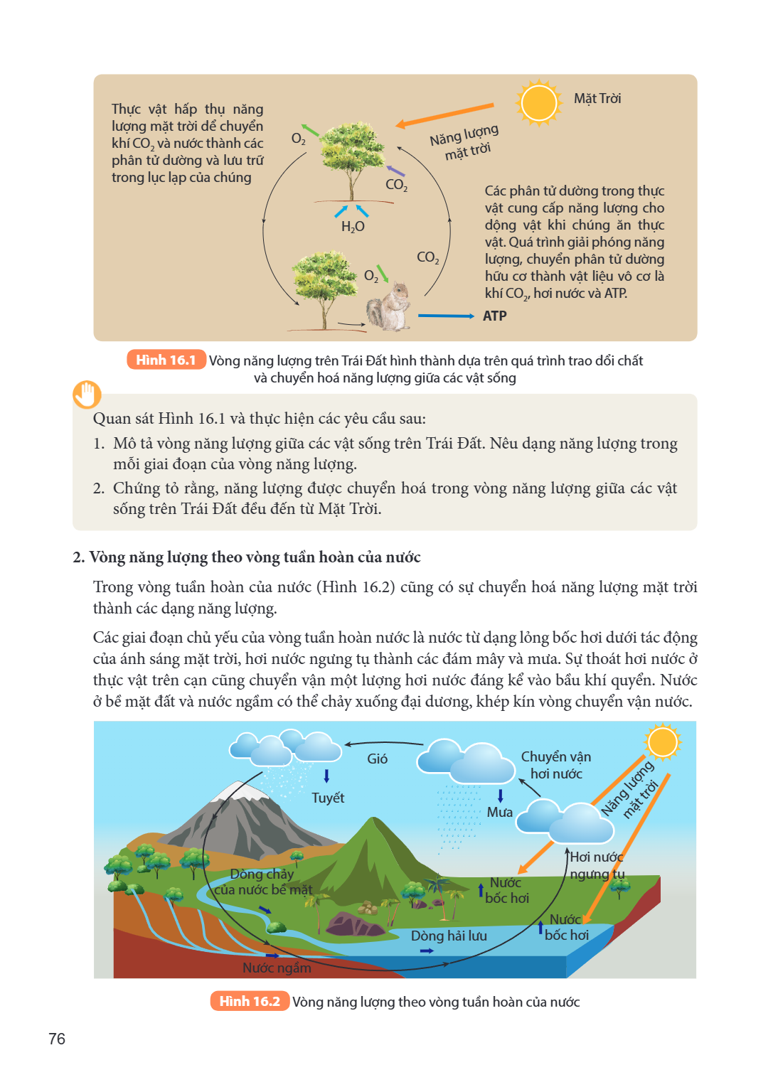 Thực vật hấp thụ năng lượng mặt trời để chuyển khí CO₂ và nước thành các phân tử đường và lưu trữ trong lục lạp của chúng Mặt Trời Năng lượng mặt trời Các phân 