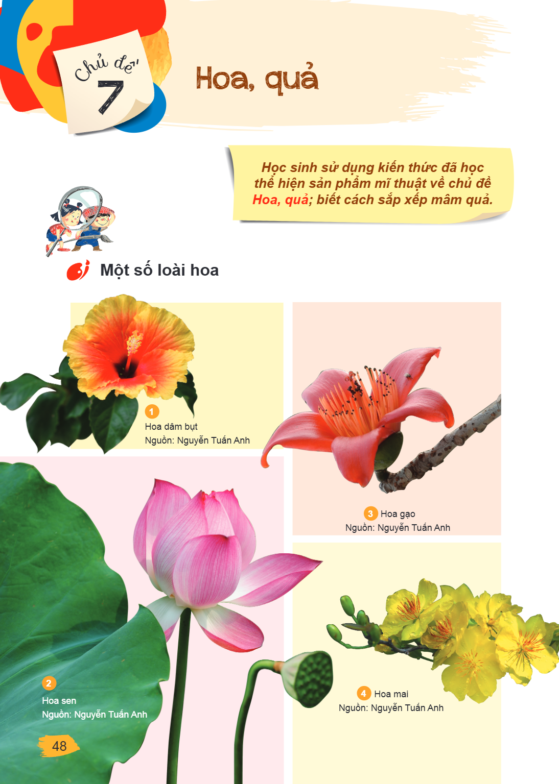 Bài 7. Hoa, quả Học sinh sử dụng kiến thức đã học thể hiện sản phẩm mĩ thuật về chủ đề Hoa, quả; biết cách sắp xếp mâm quả. Một số loài hoa 1. Hoa dâm bụt. Nguồ