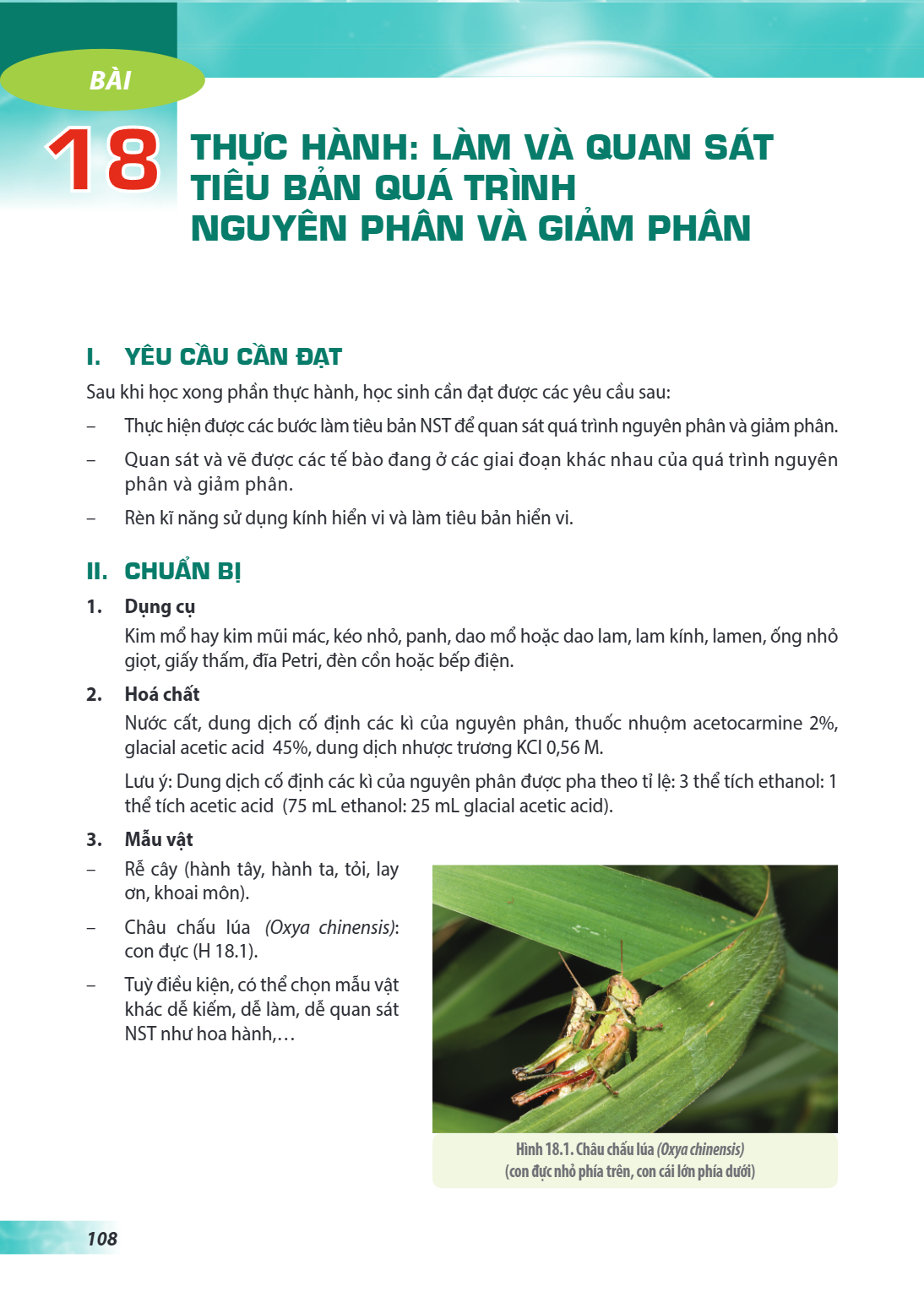 Thực hành: Làm và quan sát tiêu bản quá trình nguyên phân và giảm phân I. YÊU CẦU CẦN ĐẠT Sau khi học xong phần thực hành, học sinh cần đạt được các yêu cầu sau
