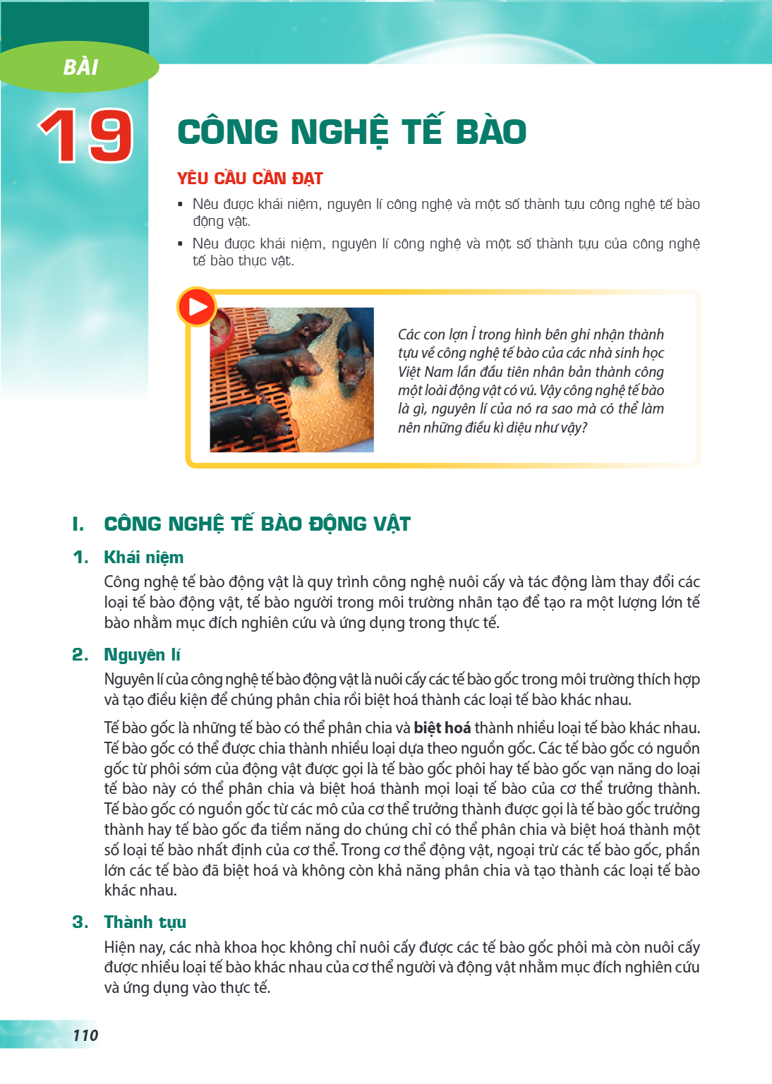 Bài 19. Công nghệ tế bào YÊU CẦU CẦN ĐẠT: Nêu được khái niệm, nguyên lí công nghệ và một số thành tựu công nghệ tế bào động vật. Nêu được khái niệm, nguyên lí c