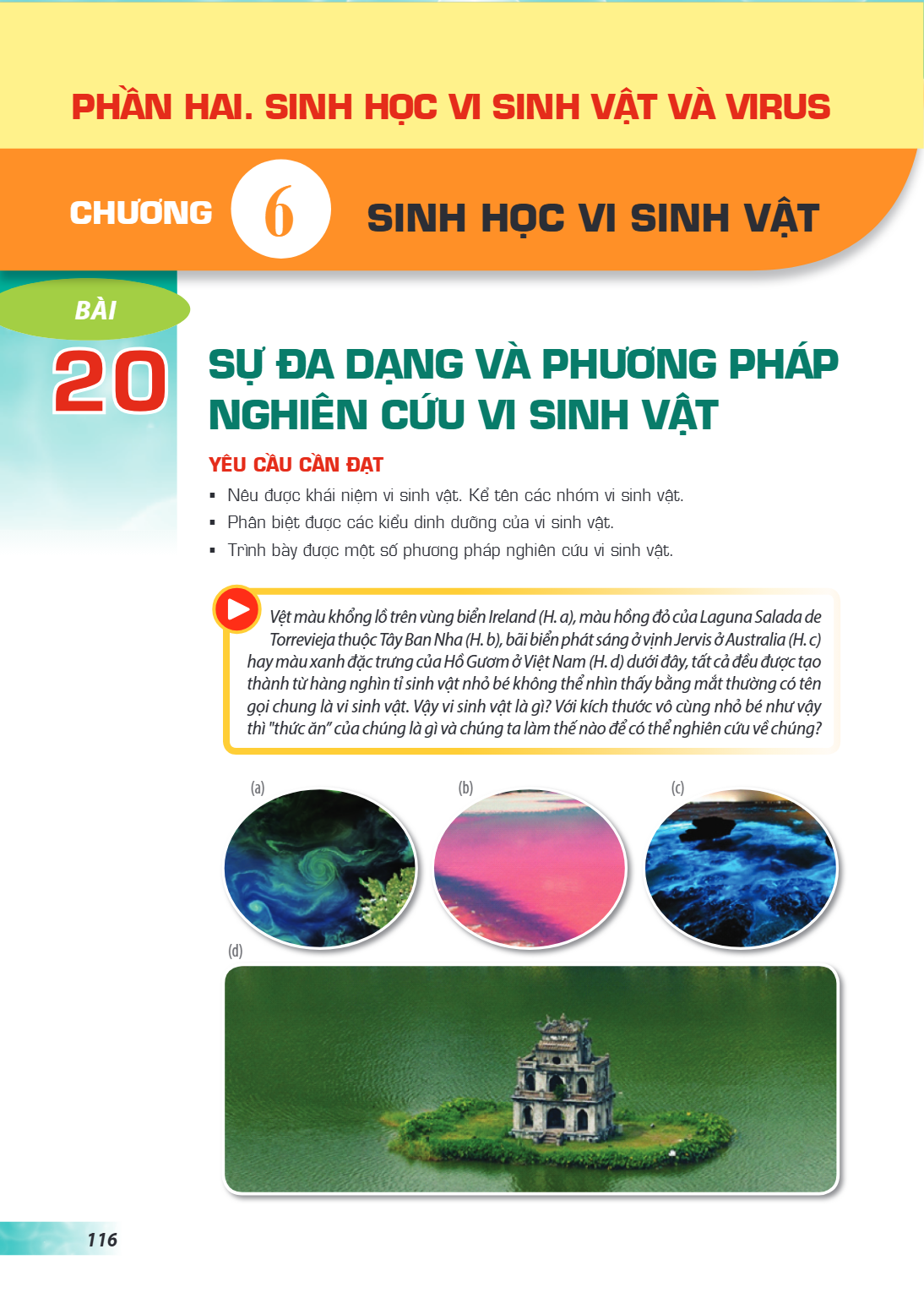 Chương 6. SINH HỌC VI SINH VẬT Bài 20. Sự đa dạng và phương pháp nghiên cứu vi sinh vật YÊU CẦU CẦN ĐẠT Nêu được khái niệm vi sinh vật. Kể tên các nhóm vi sinh 