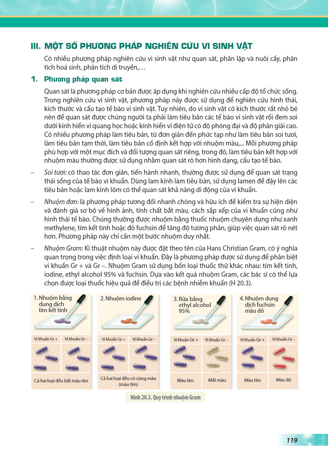 III. MỘT SỐ PHƯƠNG PHÁP NGHIÊN CỨU VI SINH VẬT Có nhiều phương pháp nghiên cứu vi sinh vật như quan sát, phân lập và nuôi cấy, phân tích hoá sinh, phân tích di 