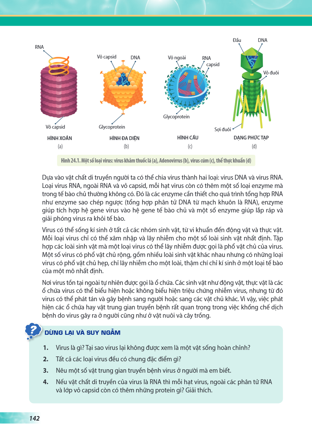 Dựa vào vật chất di truyền người ta có thể chia virus thành hai loại: virus DNA và virus RNA. Loại virus RNA, ngoài RNA và vỏ capsid, mỗi hạt virus còn có thêm 