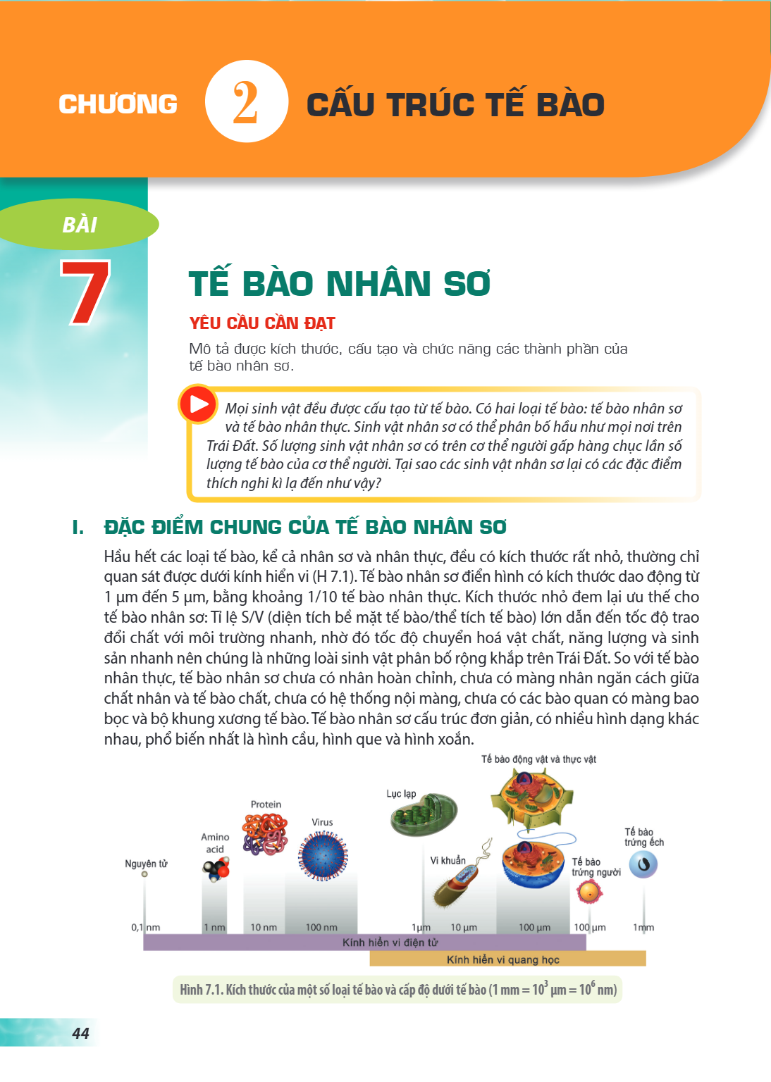 Chương 2. CẤU TRÚC TẾ BÀO Bài 7. Tế bào nhân sơ YÊU CẦU CẦN ĐẠT Mô tả được kích thước, cấu tạo và chức năng các thành phần của tế bào nhân sơ. Mọi sinh vật đều 