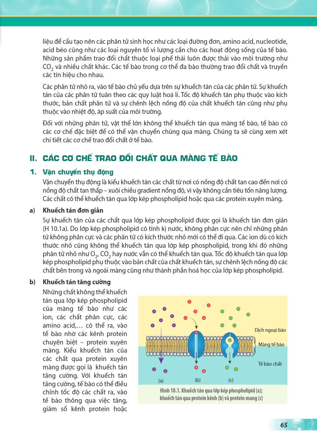 liệu để cấu tạo nên các phân tử sinh học như các loại đường đơn, amino acid, nucleotide, acid béo cũng như các loại nguyên tố vi lượng cần cho các hoạt động sốn