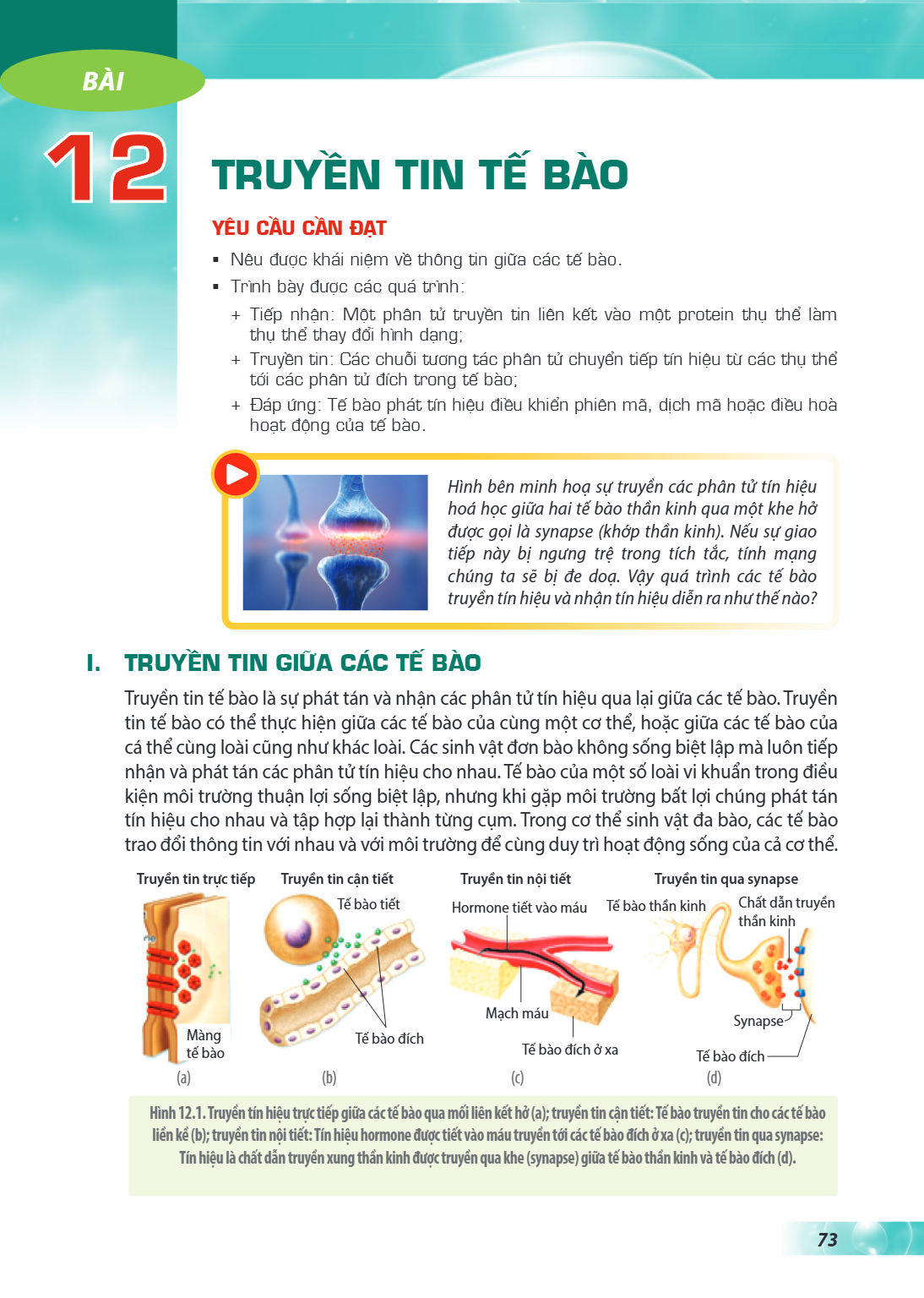 Bài 12. Truyền tin tế bào YÊU CẦU CẦN ĐẠT Nêu được khái niệm về thông tin giữa các tế bào. Trình bày được các quá trình: Tiếp nhận: Một phân tử truyền tin liên 