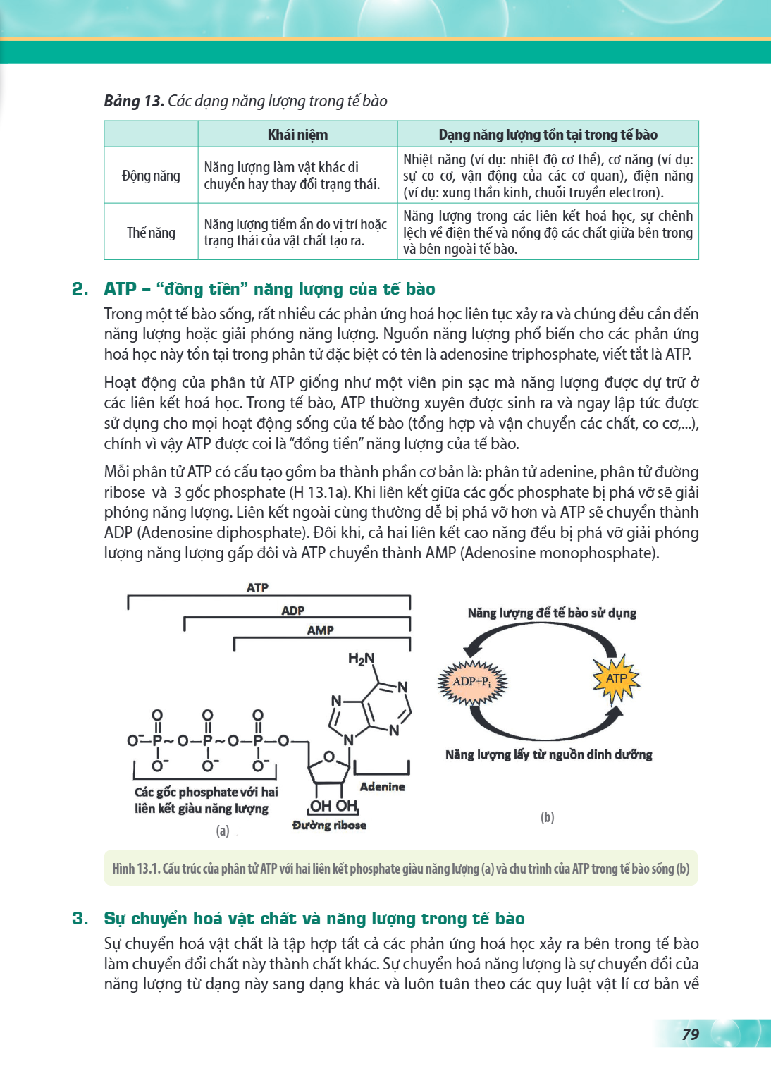 Bảng 13. Các dạng năng lượng trong tế bào Khái niệm, Dạng năng lượng tồn tại trong tế bào Động năng, Năng lượng làm vật khác di chuyển hay thay đổi trạng thái.,
