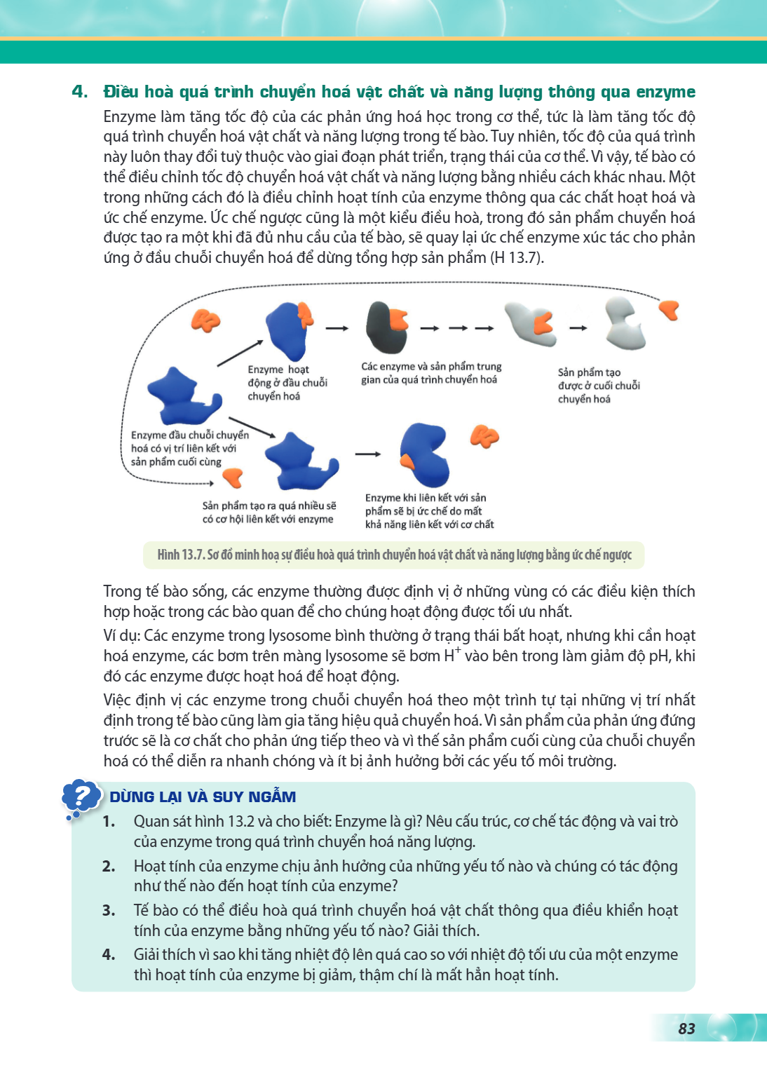 4. Điều hoà quá trình chuyển hoá vật chất và năng lượng thông qua enzyme Enzyme làm tăng tốc độ của các phản ứng hoá học trong cơ thể, tức là làm tăng tốc độ qu