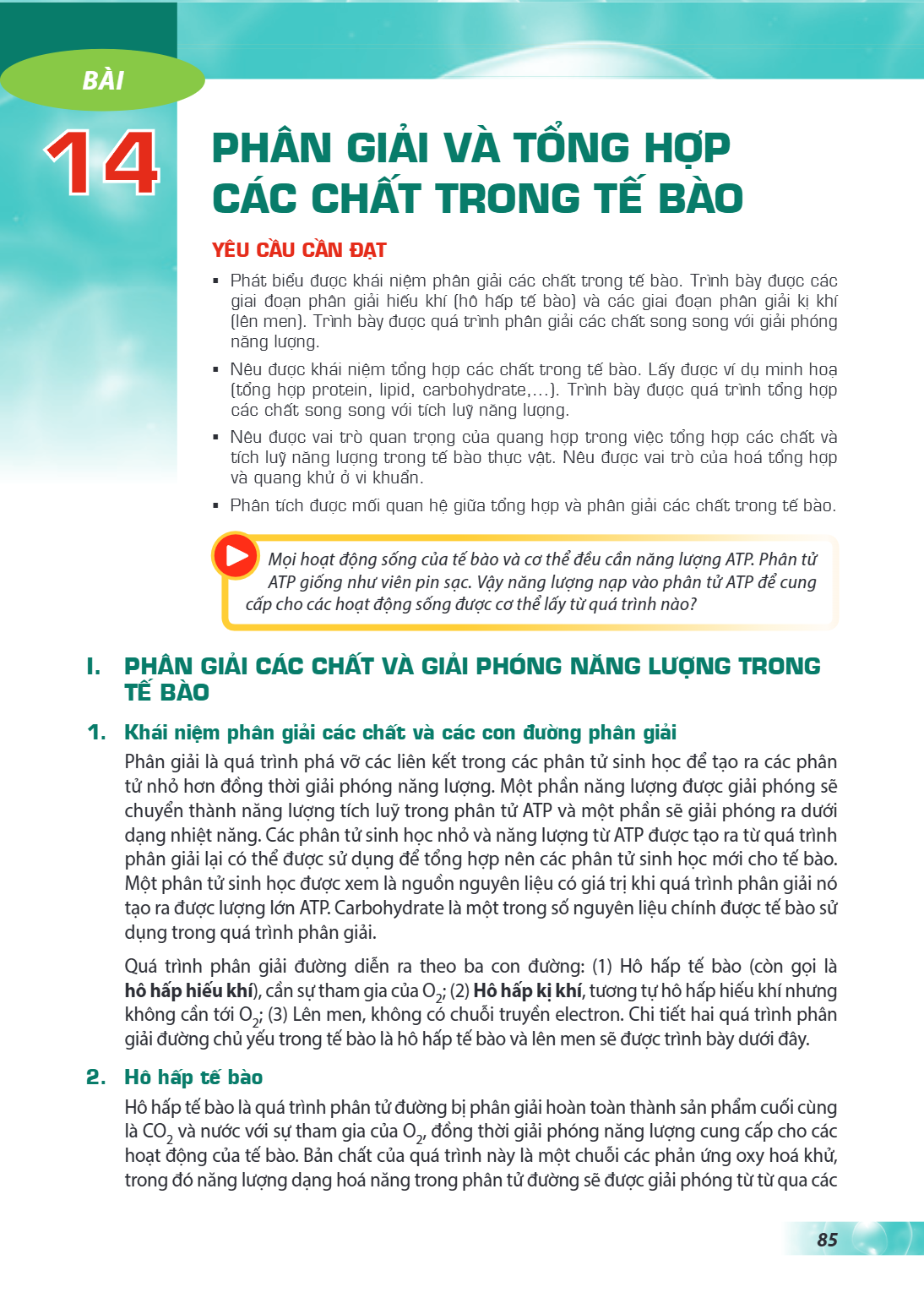 Bài 14. Phân giải và tổng hợp các chất trong tế bào YÊU CẦU CẦN ĐẠT Phát biểu được khái niệm phân giải các chất trong tế bào. Trình bày được các giai đoạn phân 