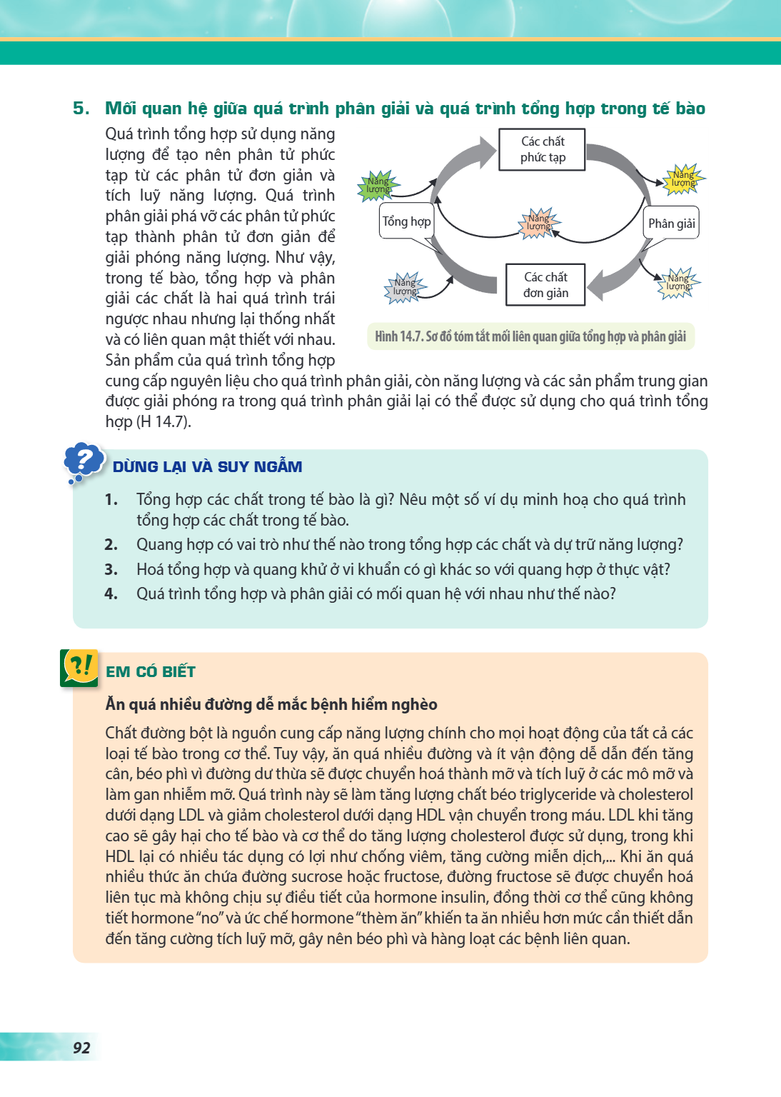 5. Mối quan hệ giữa quá trình phân giải và quá trình tổng hợp trong tế bào Quá trình tổng hợp sử dụng năng lượng để tạo nên phân tử phức tạp từ các phân tử đơn 